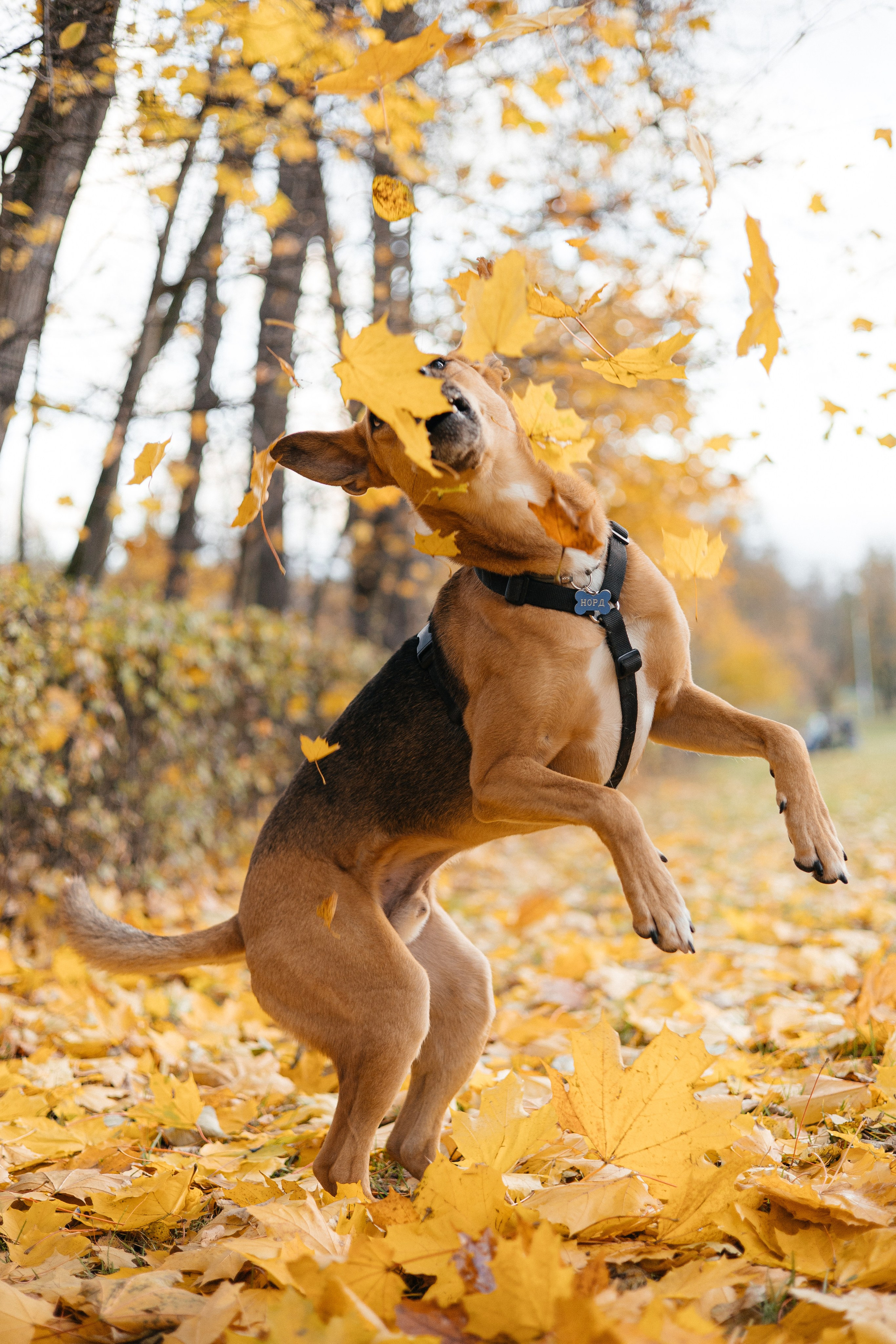 Нелли, Лёша, Рэй и Норд. Фотограф Анна Луценко Москва
