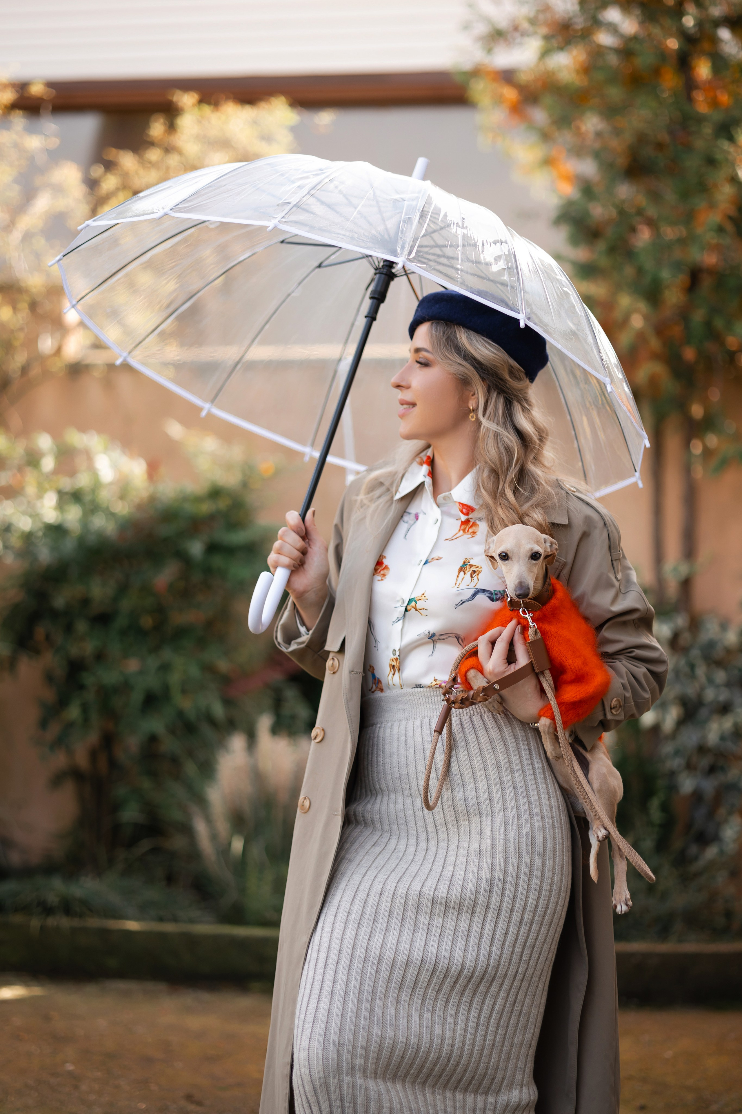 Asti Sapphire Adriana. Профессиональный питомник левреток РКФ/FCI ASTI SAPPHIRE 💎 Сочи|Санкт-Петербург