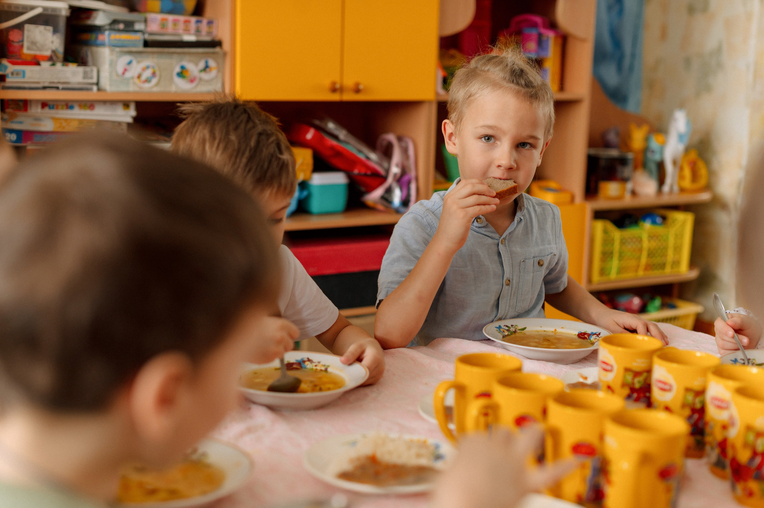 ДЕНЬ В САДУ. Шашкова Вероника / Свадебный и семейный фотограф Москва и Ярославль
