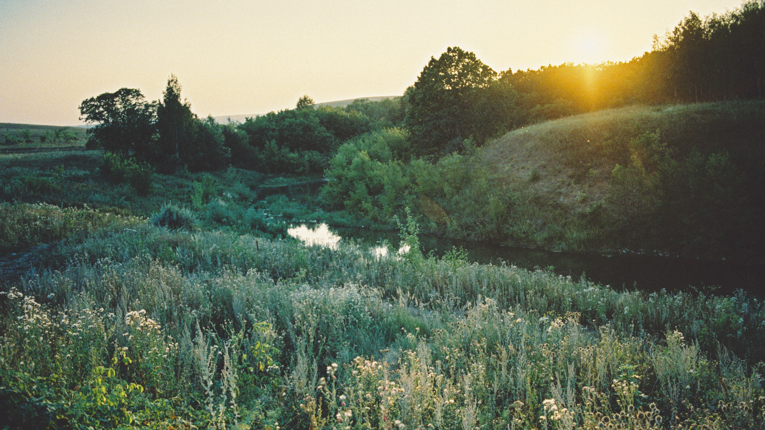 Пленочная история. Дмитрий Пропадалин, Нейрофотография