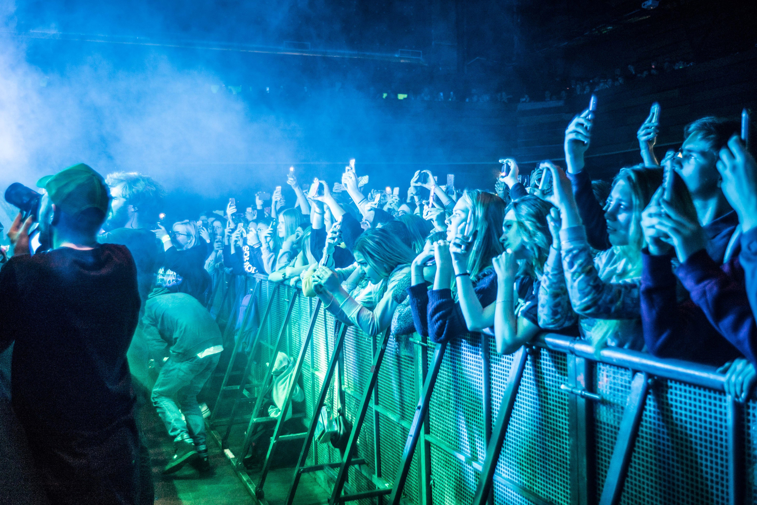 Feduk. Твой фотограф — Полосатый кот