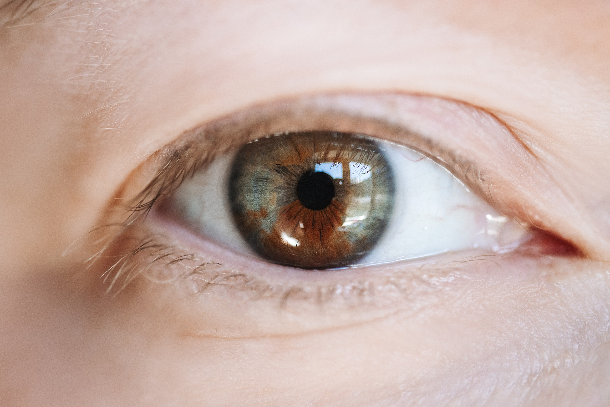 Eyes. Фотограф на Юге России