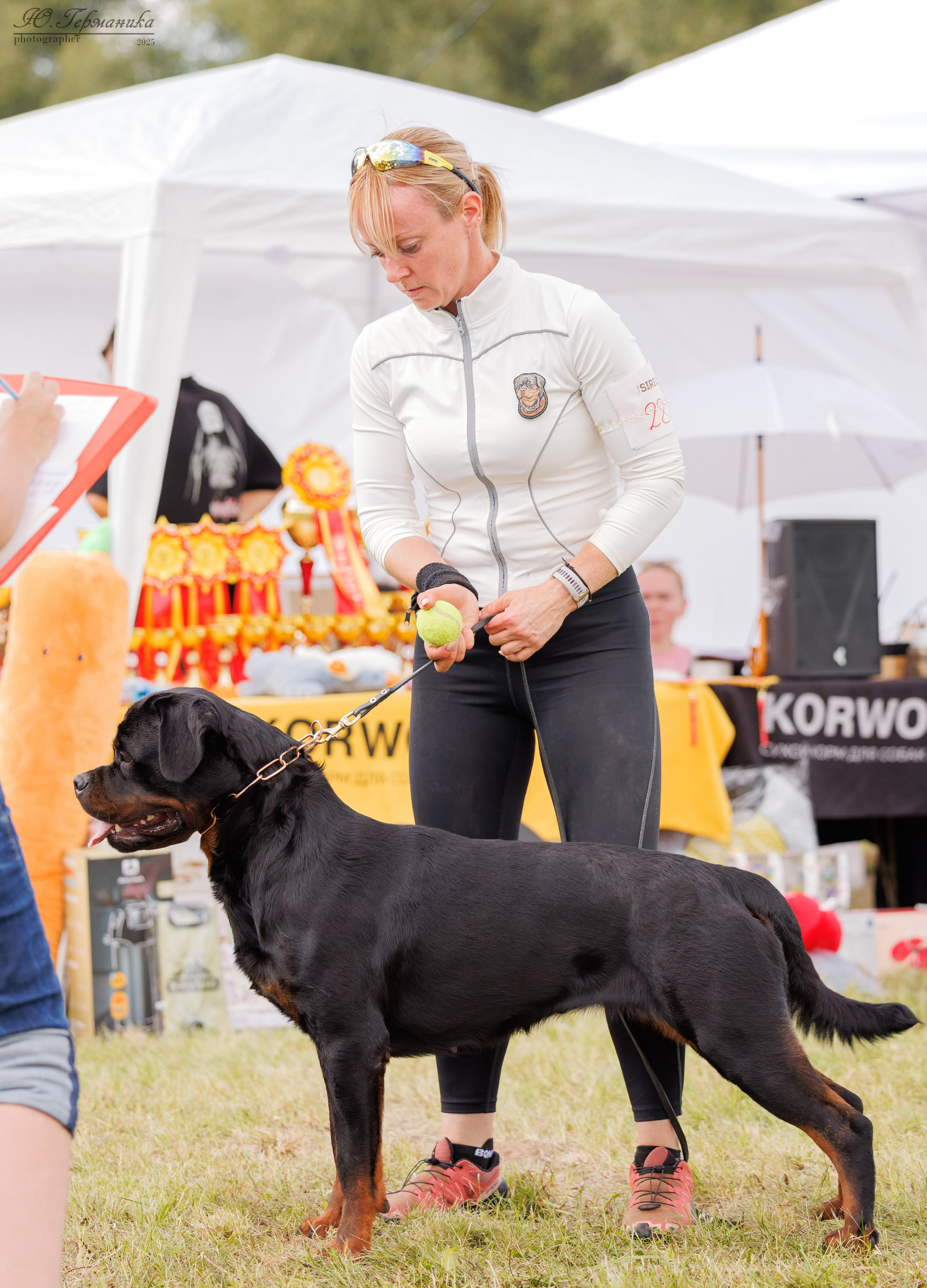 Рязань 2хмоно ротвейлеры 16-17.08.2025. Фотограф-анималист Юлия Германика