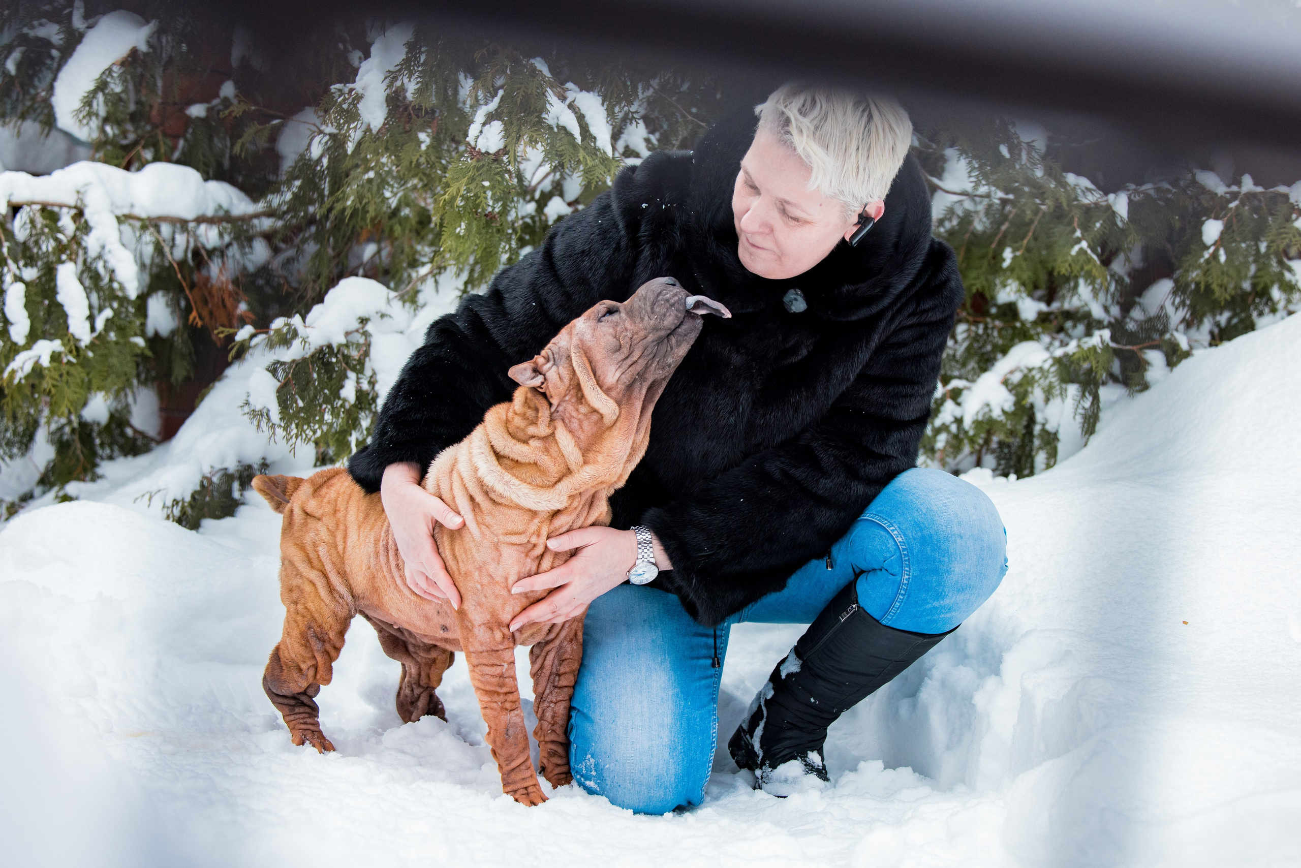 В гостях у шарпеев 16.01.2024. Фотограф-анималист Юлия Германика