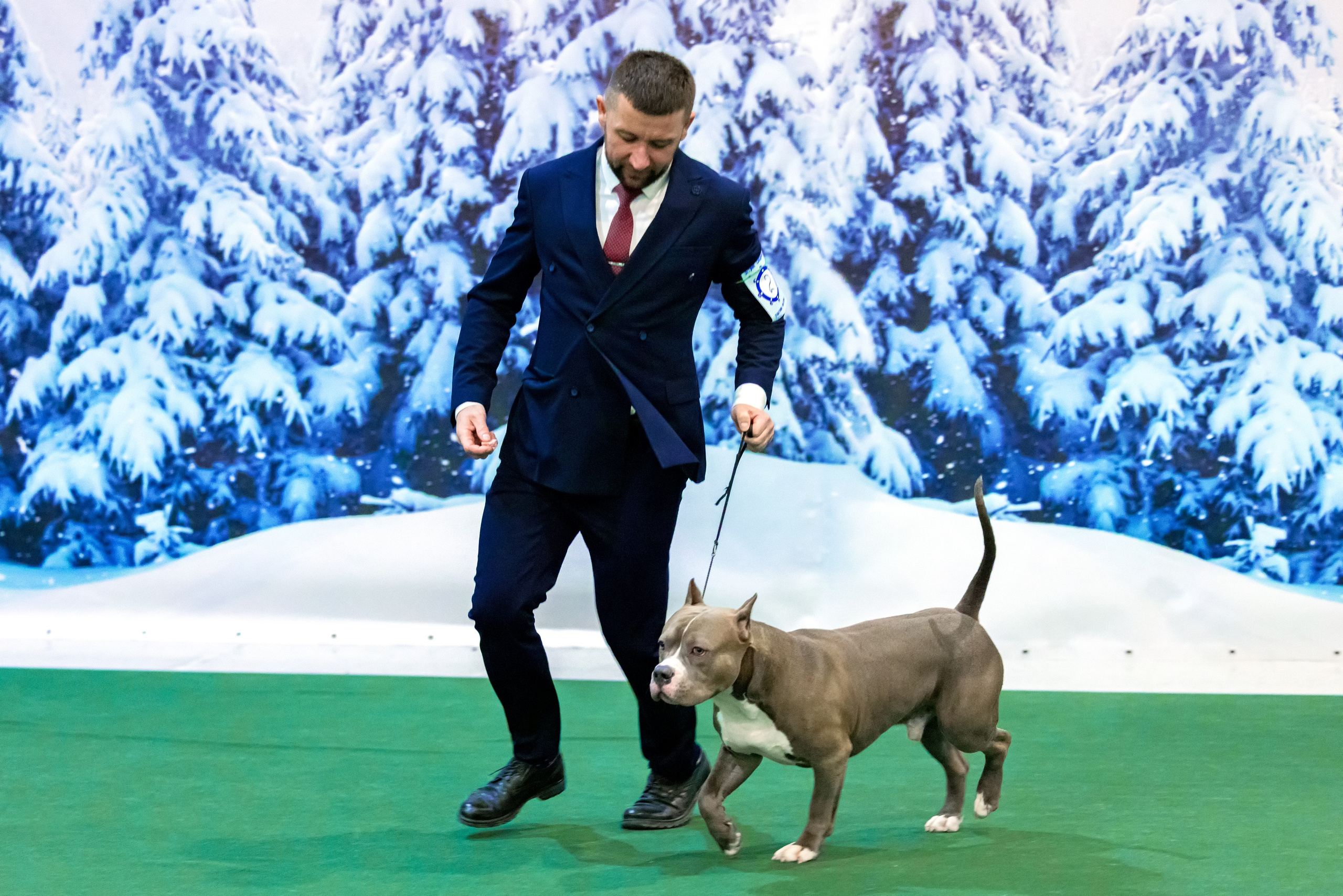 Крокус 3,9 и 10.12.2023. Фотограф-анималист Юлия Германика