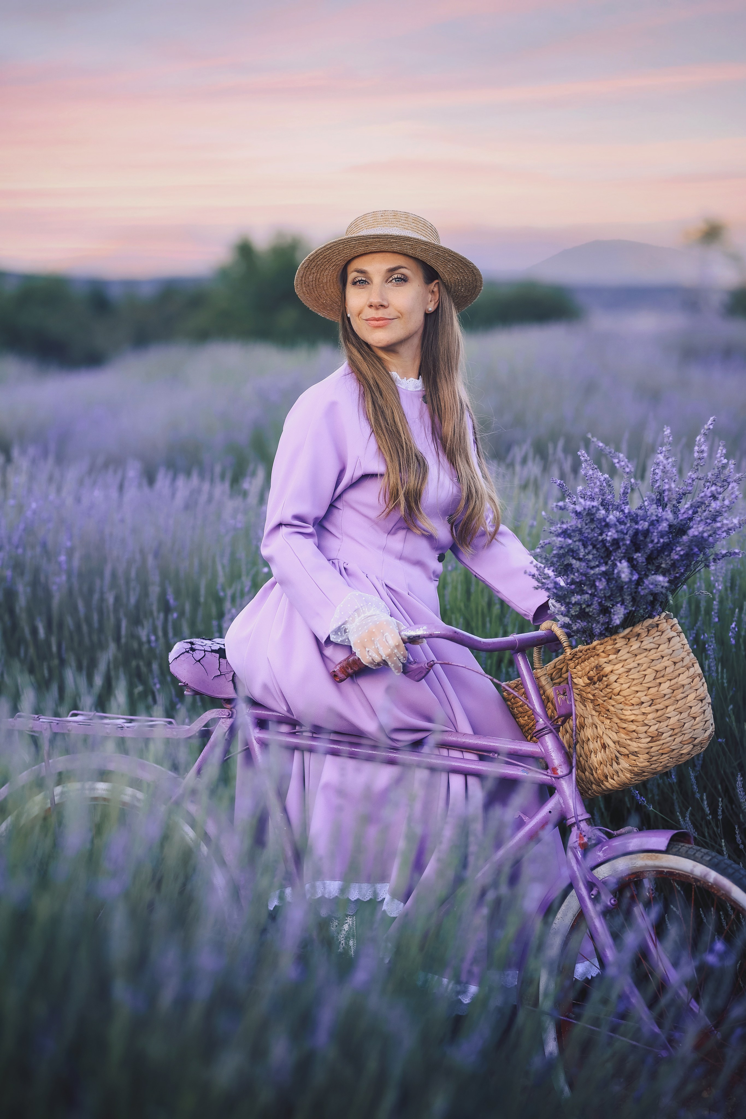 Lavender fields in Turkey