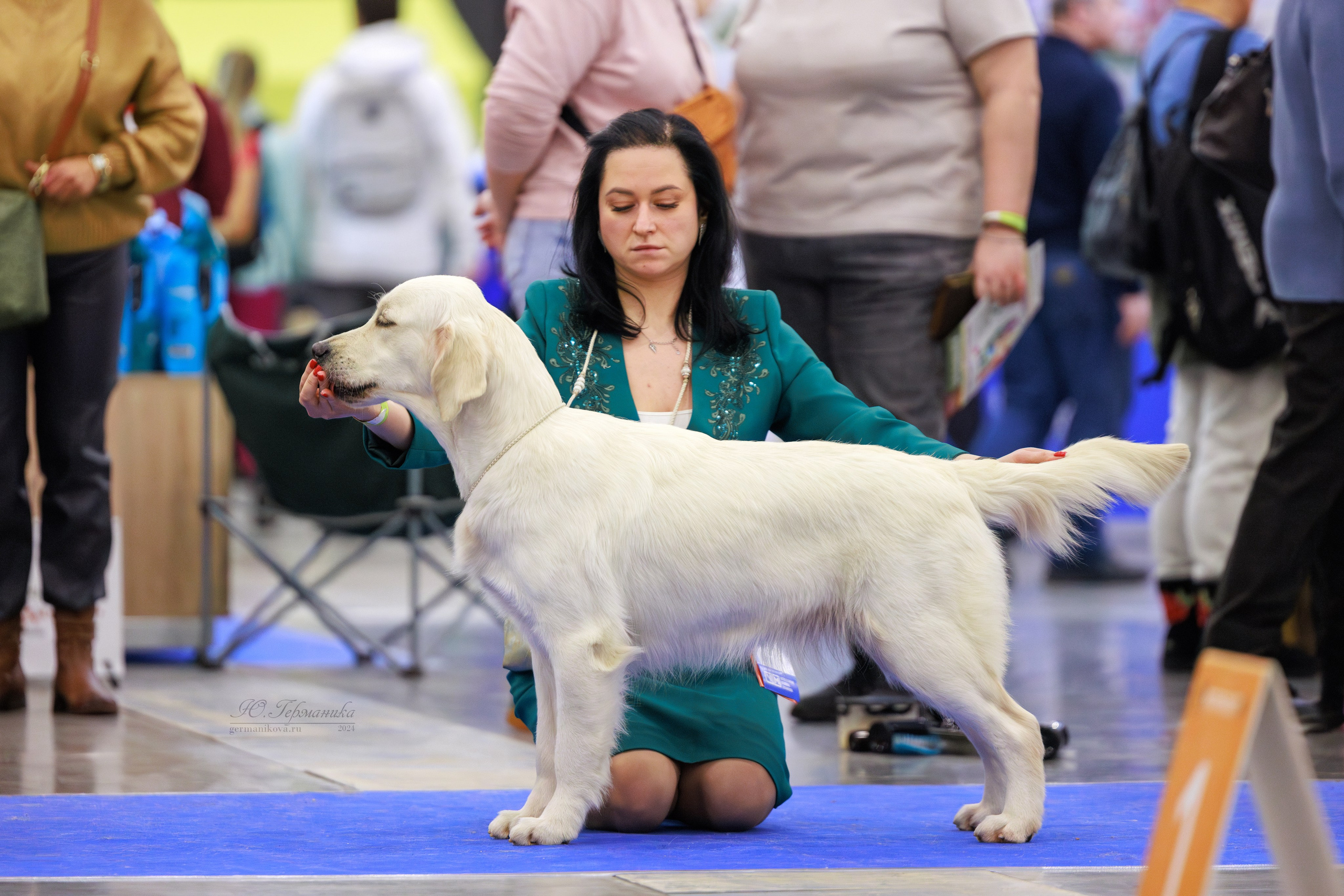 Санкт-Петербург 14.12.2024 ОС. Фотограф-анималист Юлия Германика
