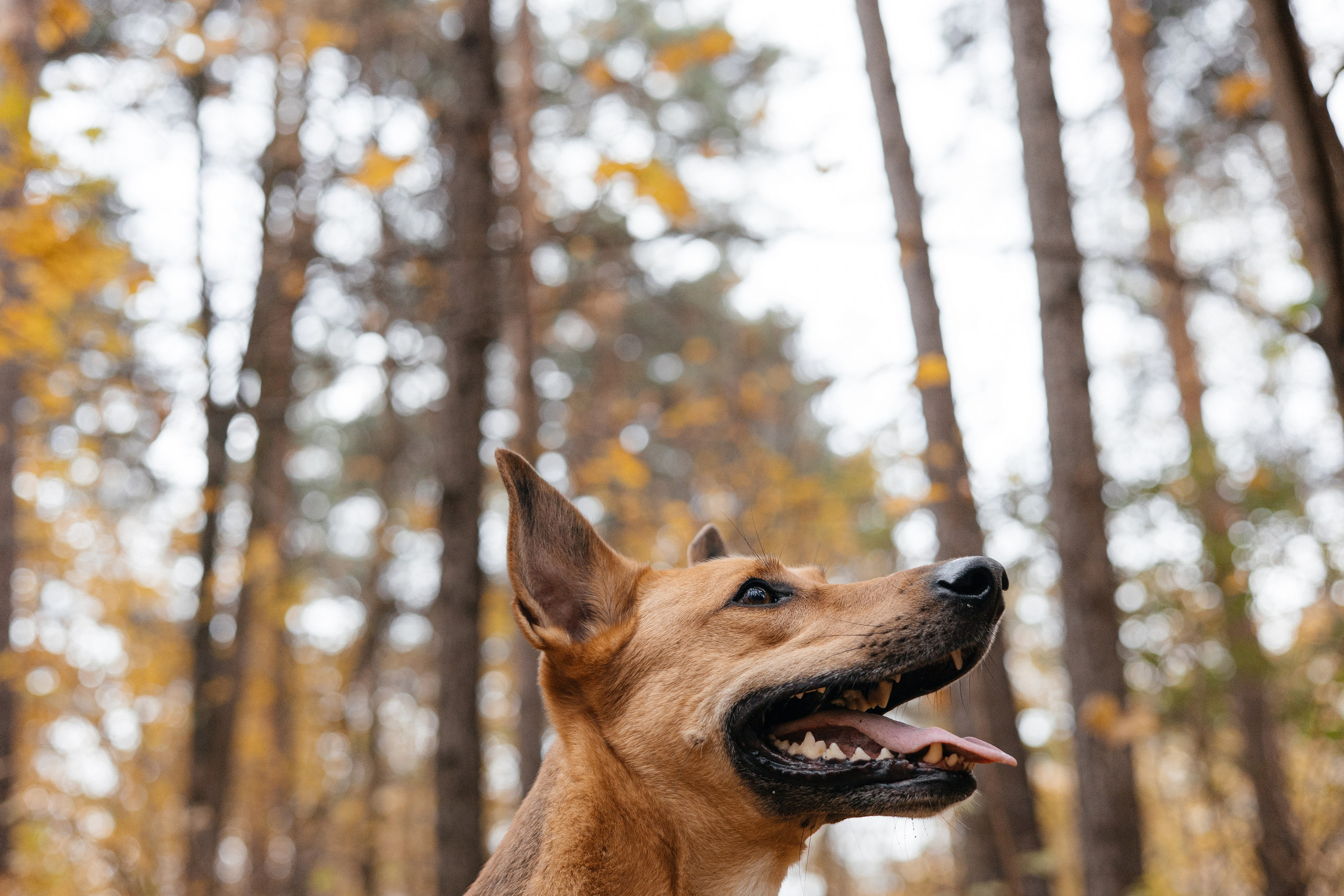 Нелли, Лёша, Рэй и Норд. Фотограф Анна Луценко Москва