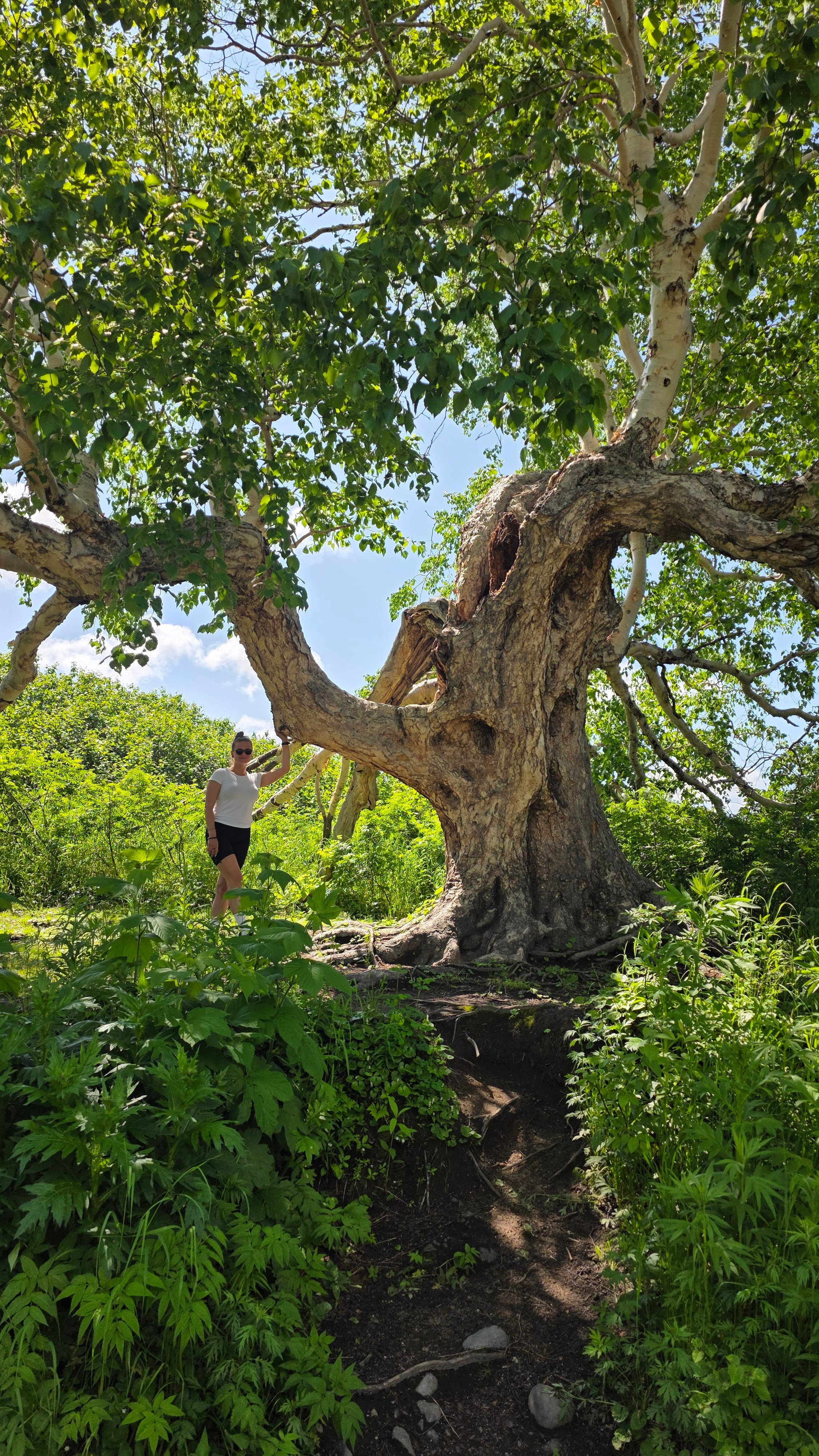 Озеро Толмачева и термальные источники. Экскурсионные туры по Камчатке