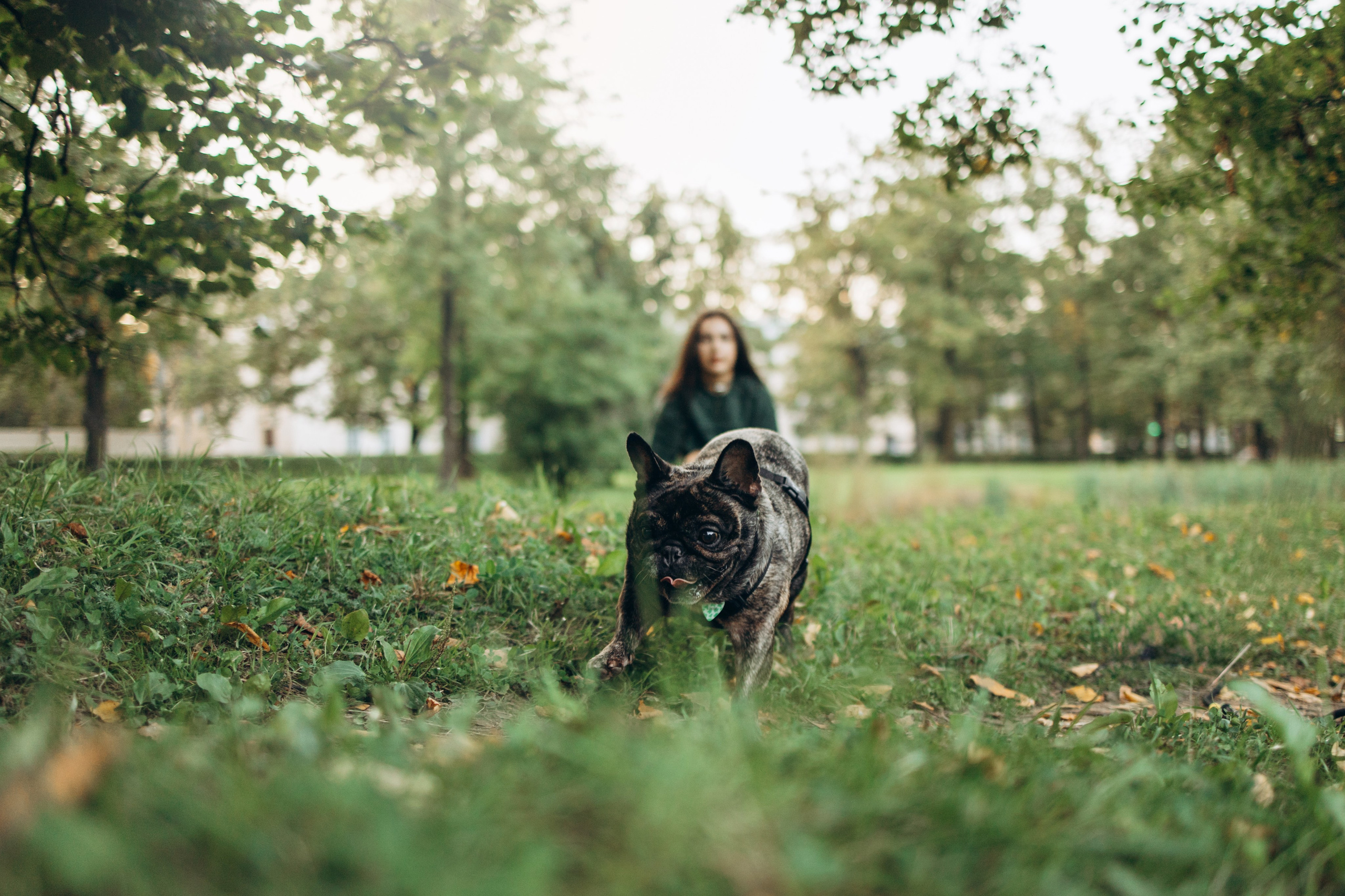 Олеся и Луи. Фотограф — Анималист | Санкт-Петербург