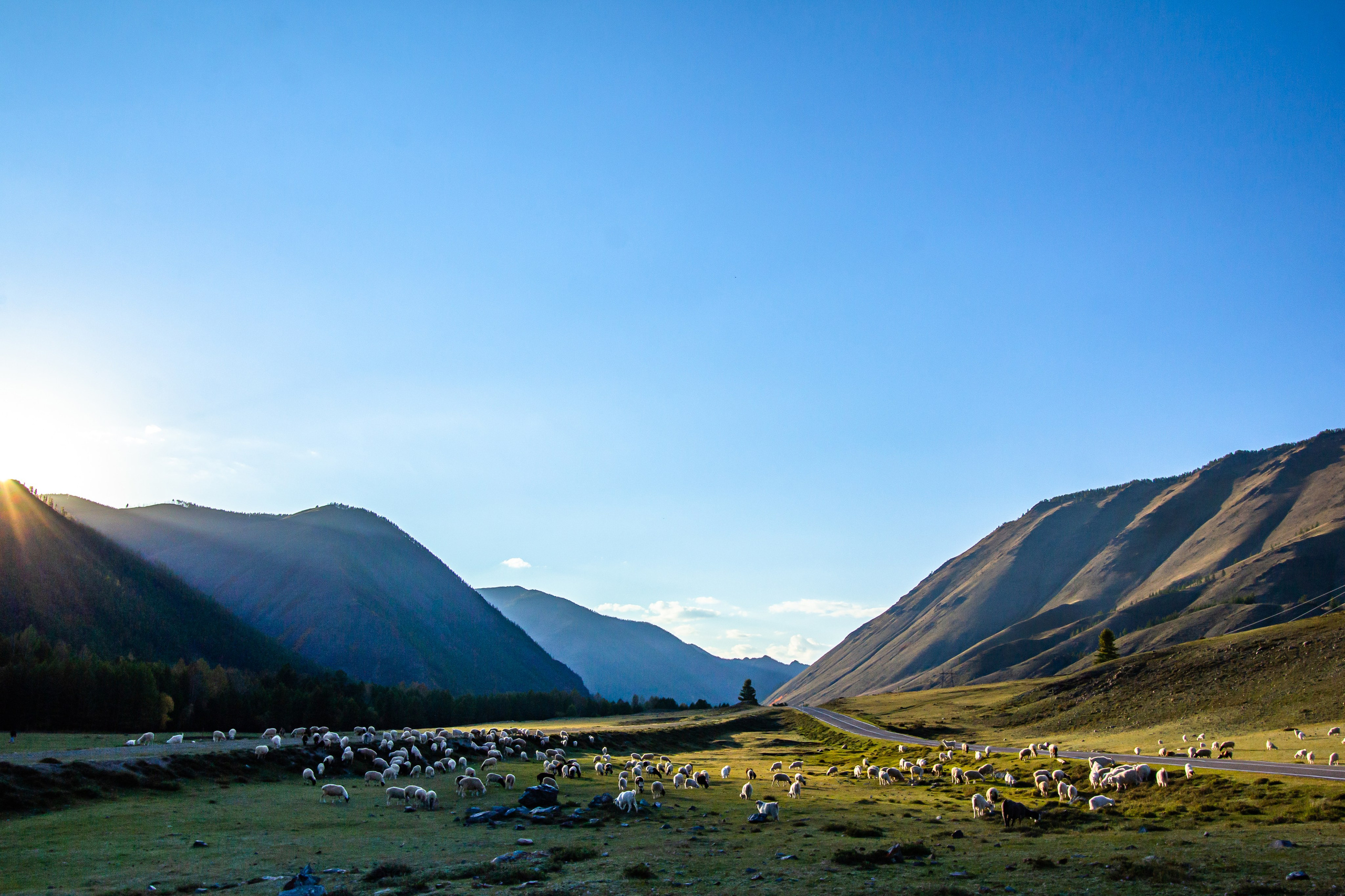 Тыва и Хакасия. Travel-фотограф Ирина Милинцова