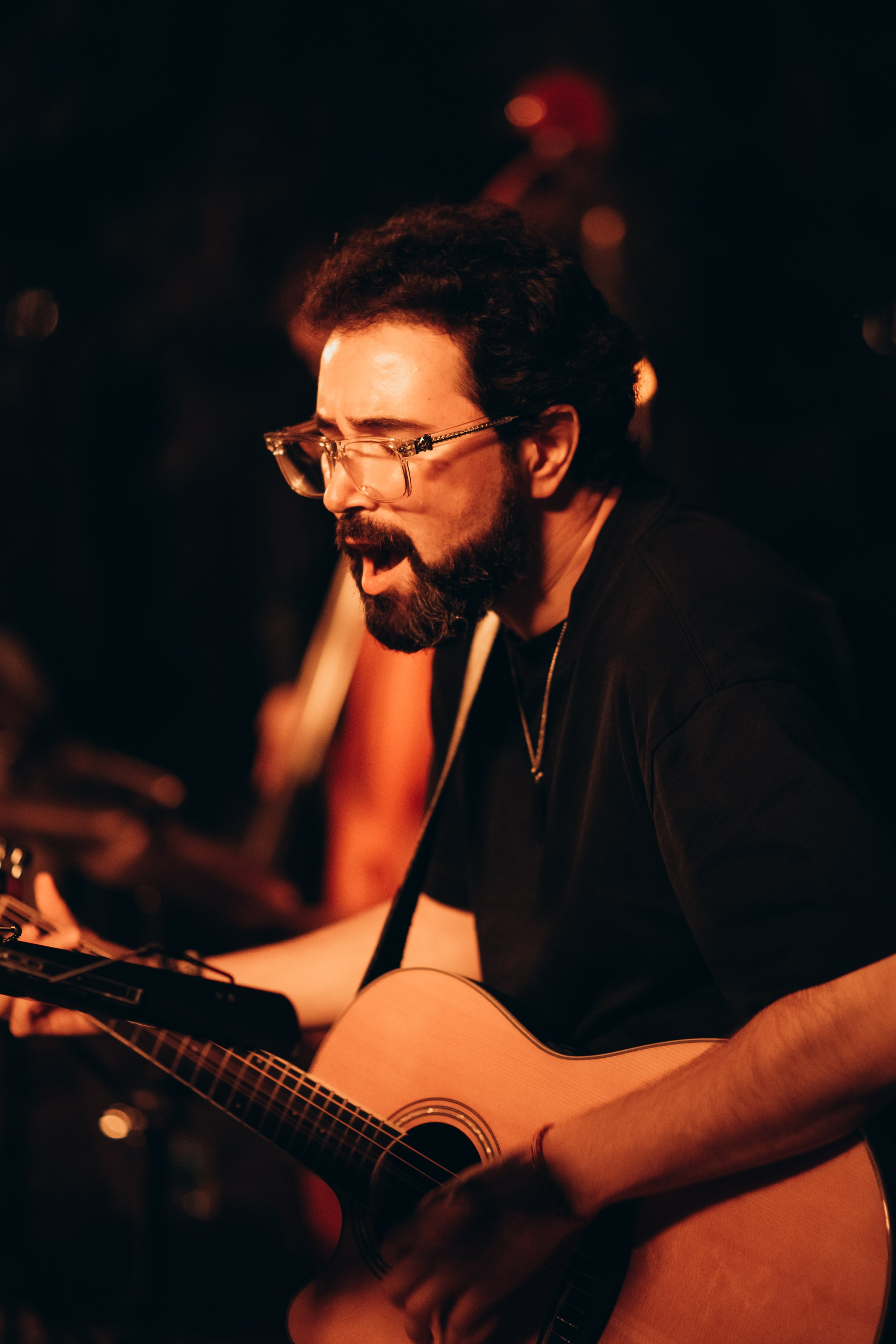 Фестиваль музыки Signon Open Air Fest