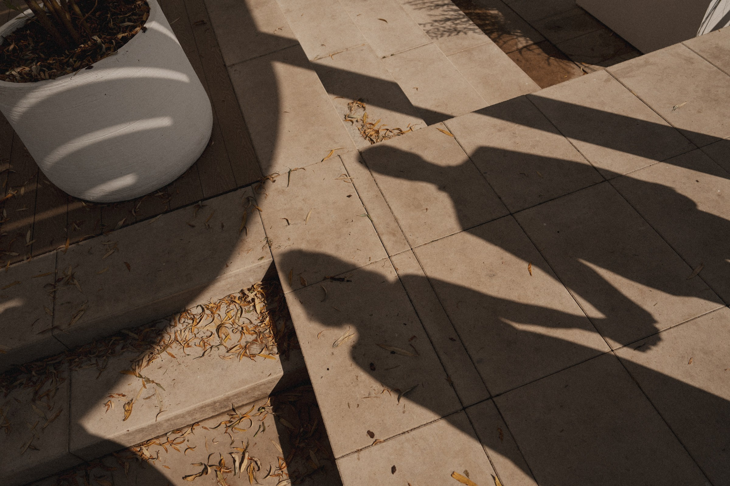 С ♡ А — Там, где звучала музыка (Коломенское). Свадебный и портретный фотограф в Москве, Светлана Янковая