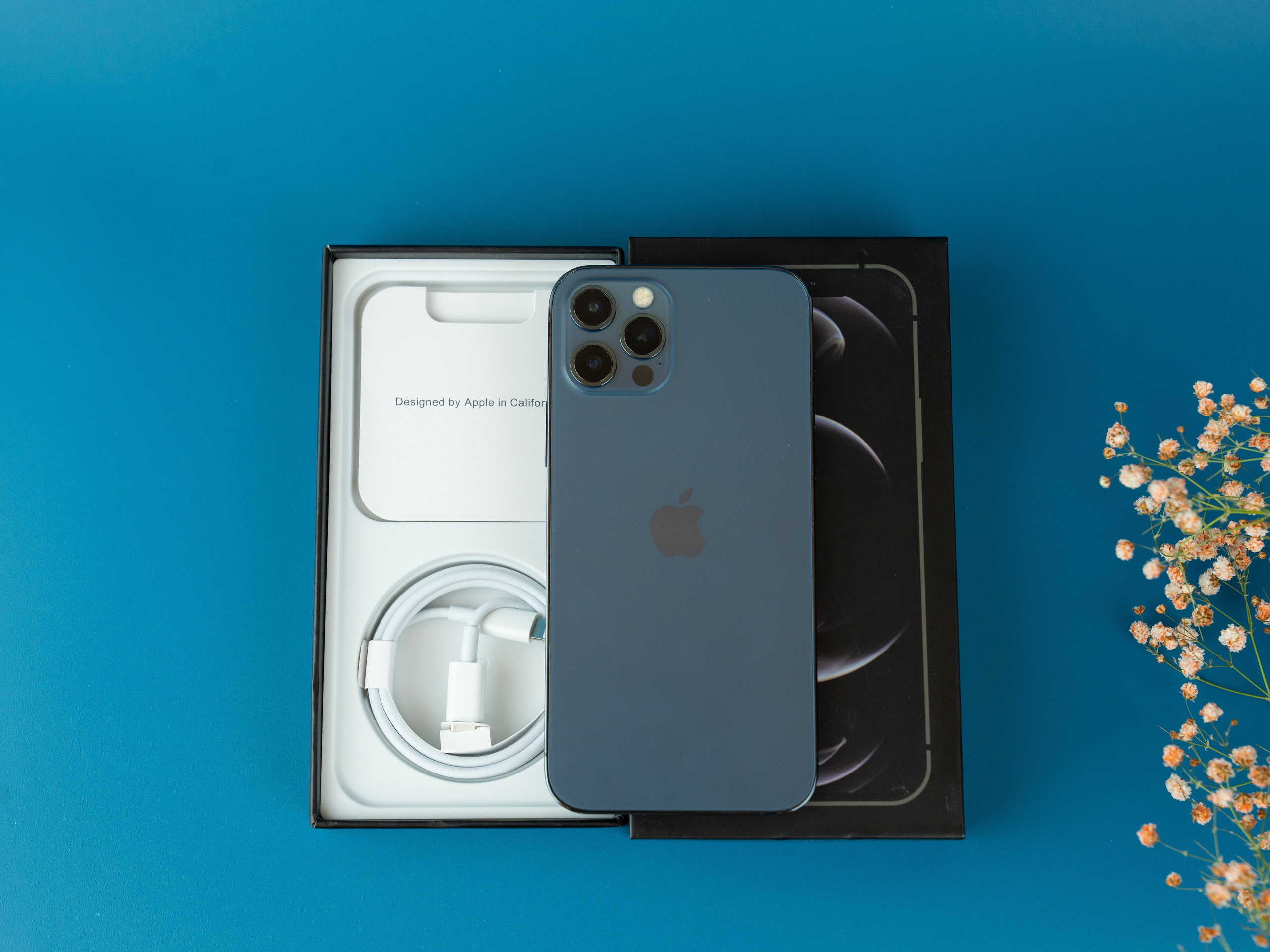 IPhone. Фотограф в Санкт-Петербурге Мария Александрова