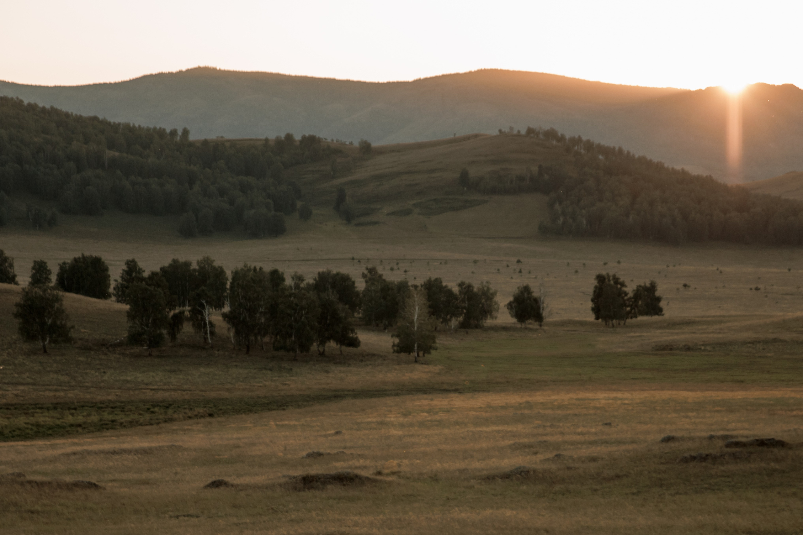 За городом. Свадебный и семейный фотограф в Екатеринбурге Катя Буряк