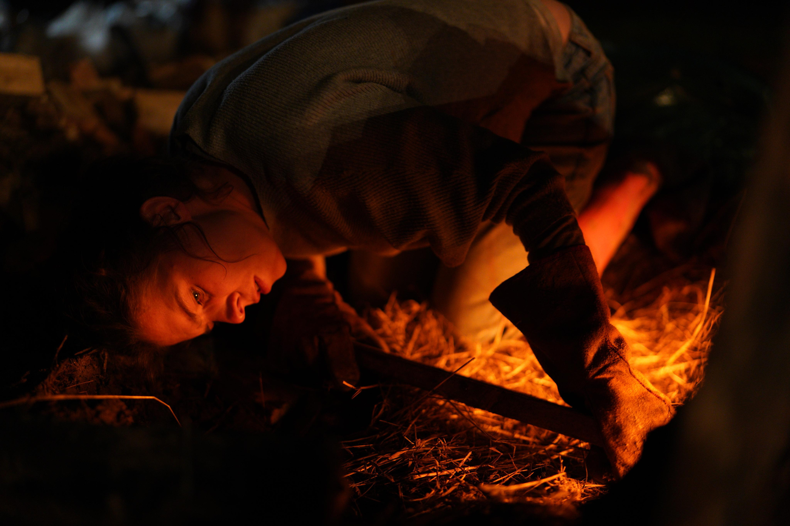 Дикий огонь