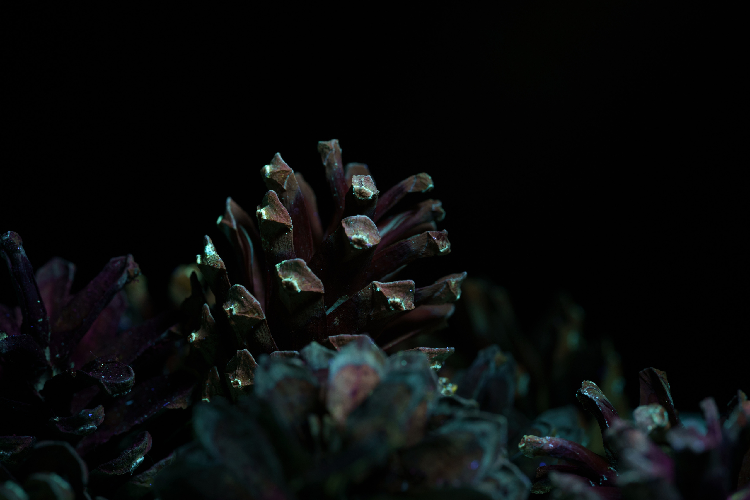 Macro — Макро