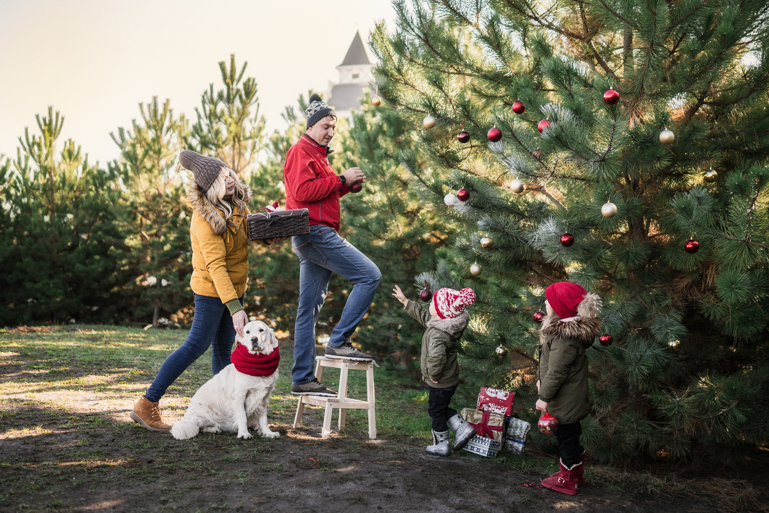 Зеленый Новый год. Семейный и детский фотограф в Краснодаре