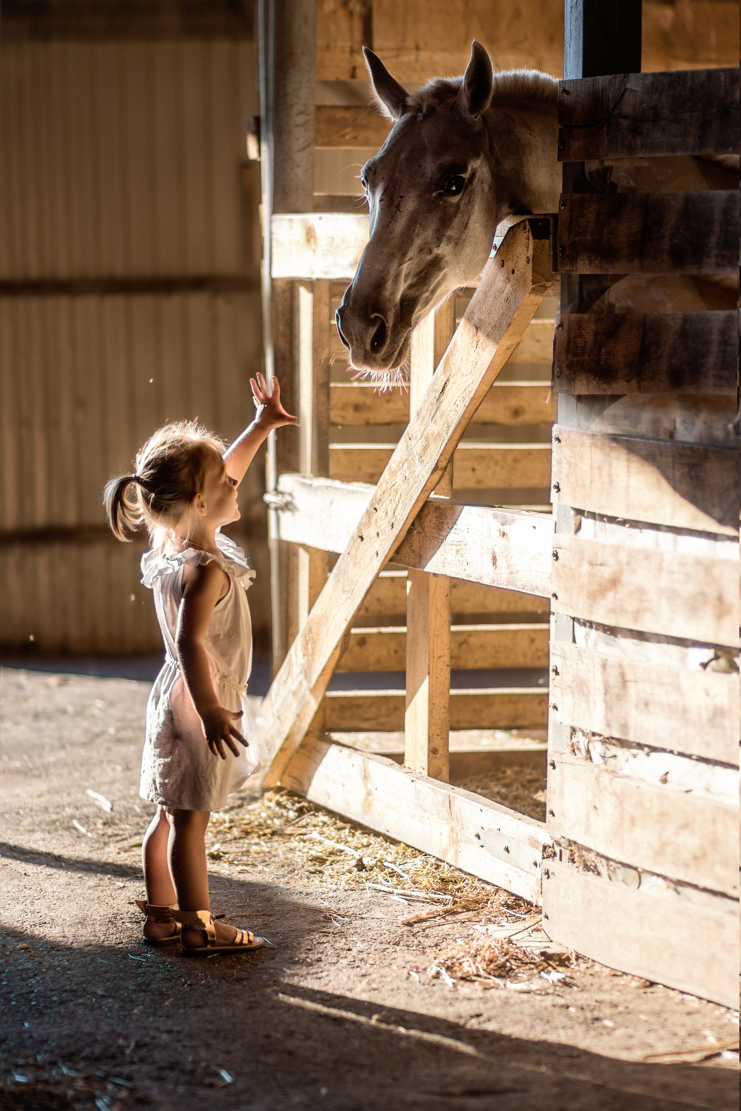 Семейный и детский фотограф в Краснодаре