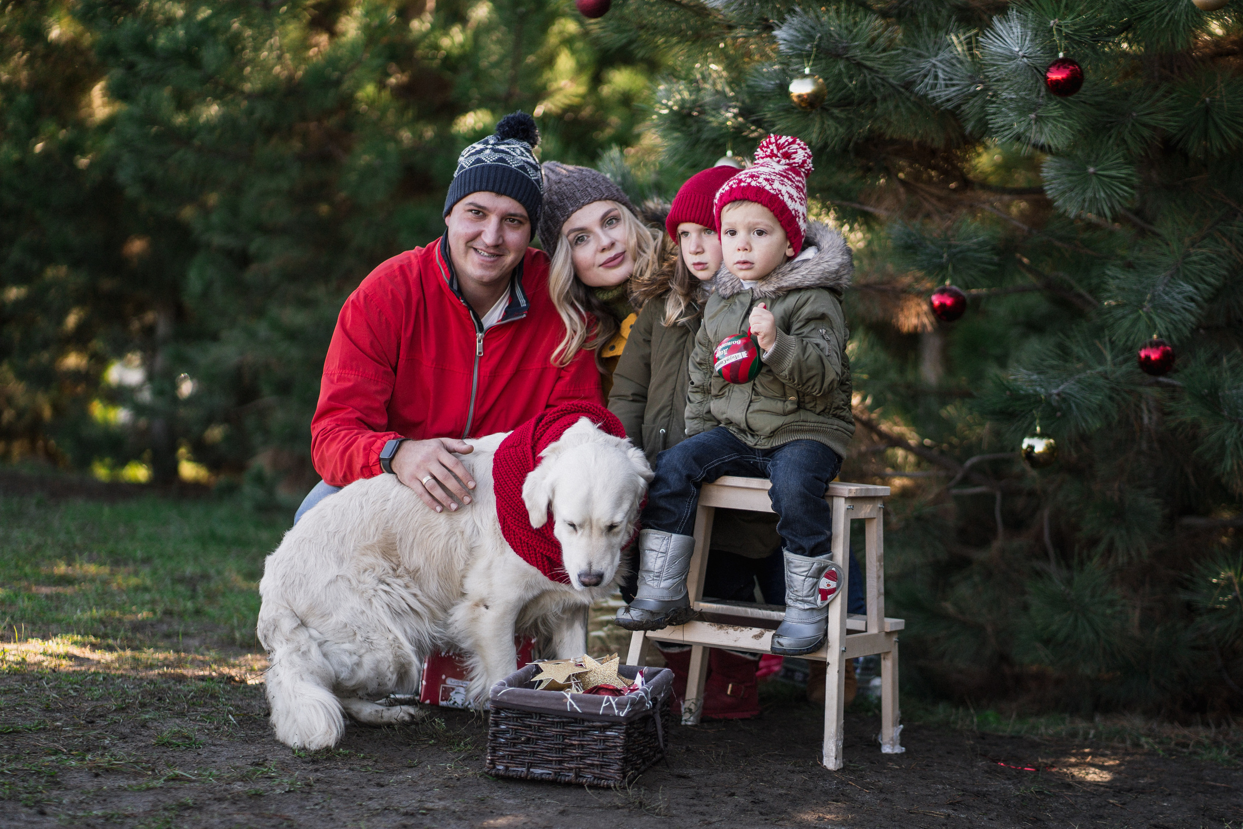 Зеленый Новый год. Семейный и детский фотограф в Краснодаре
