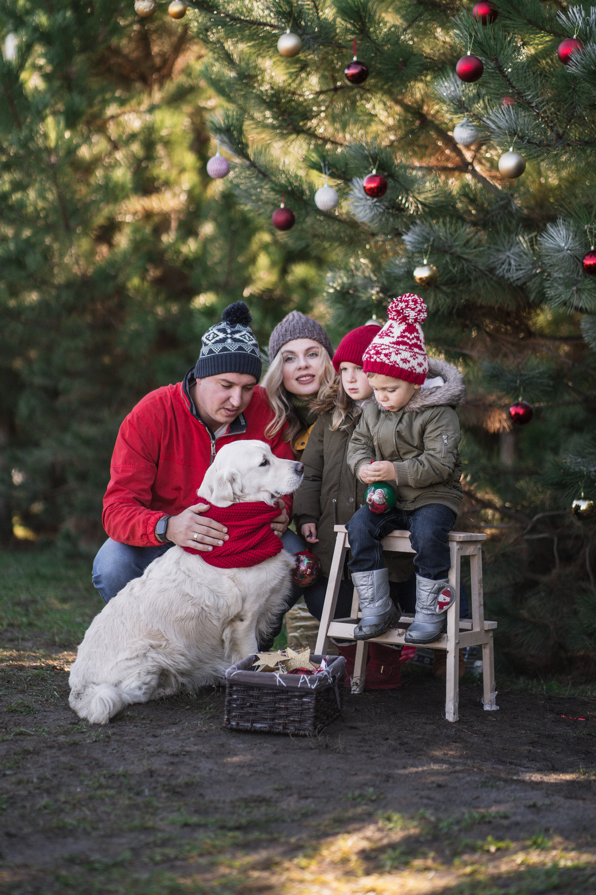 Зеленый Новый год. Семейный и детский фотограф в Краснодаре
