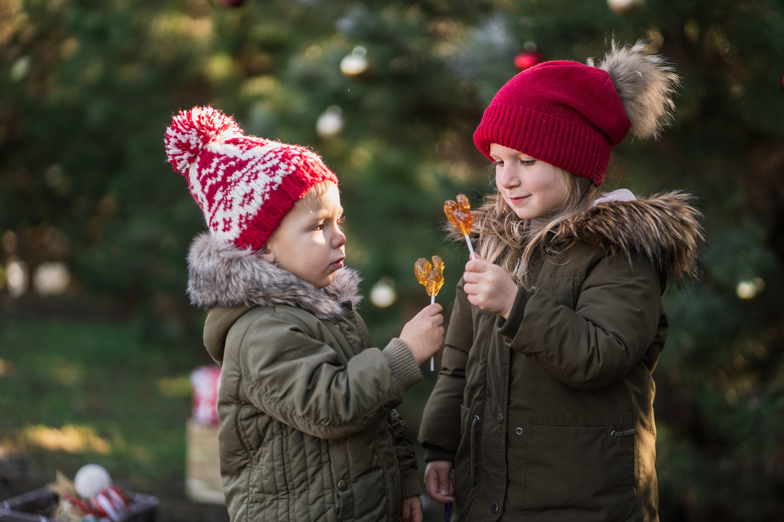 Зеленый Новый год. Семейный и детский фотограф в Краснодаре