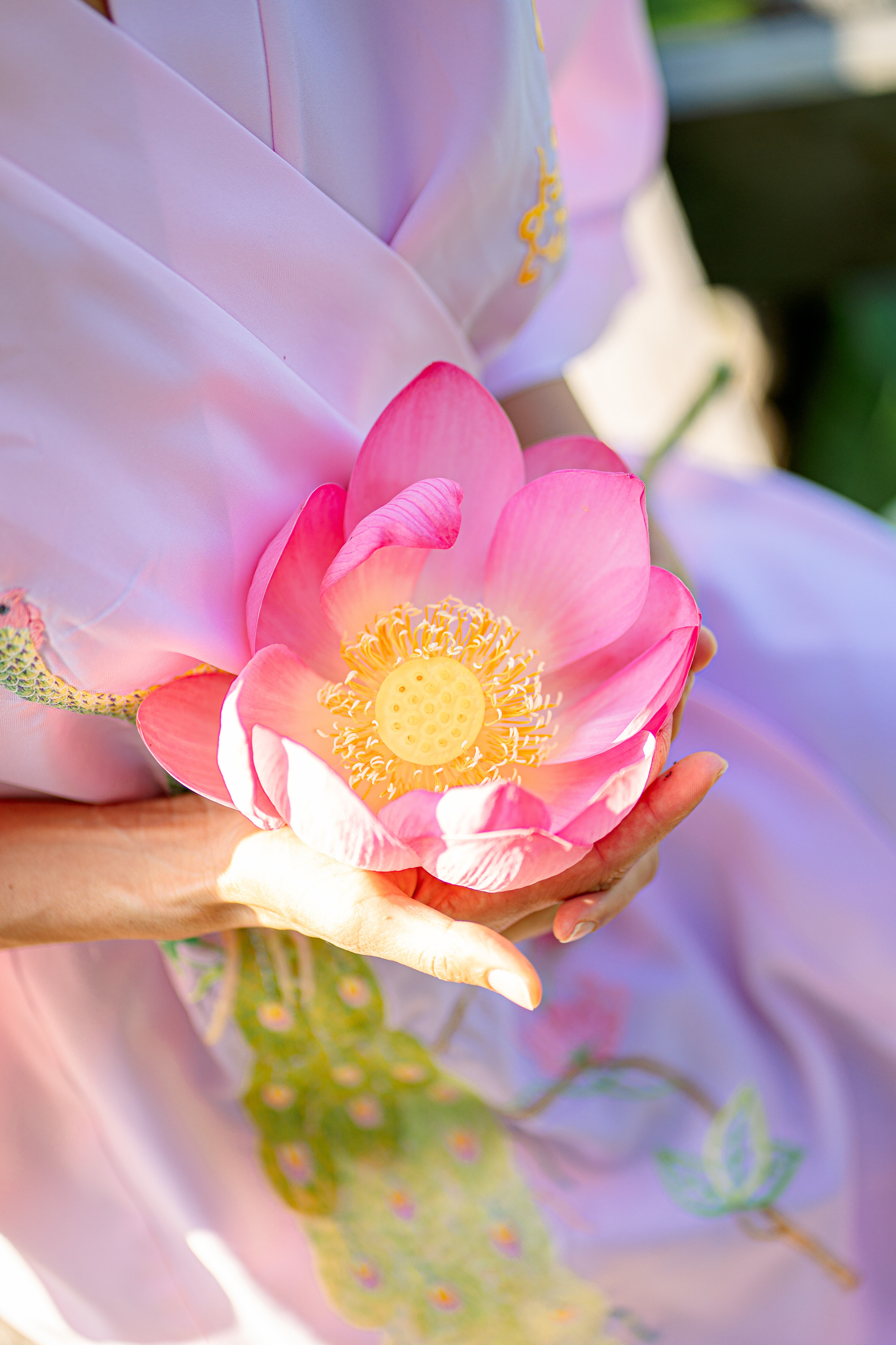 Поездка в лотосы. Семейный и детский фотограф в Краснодаре