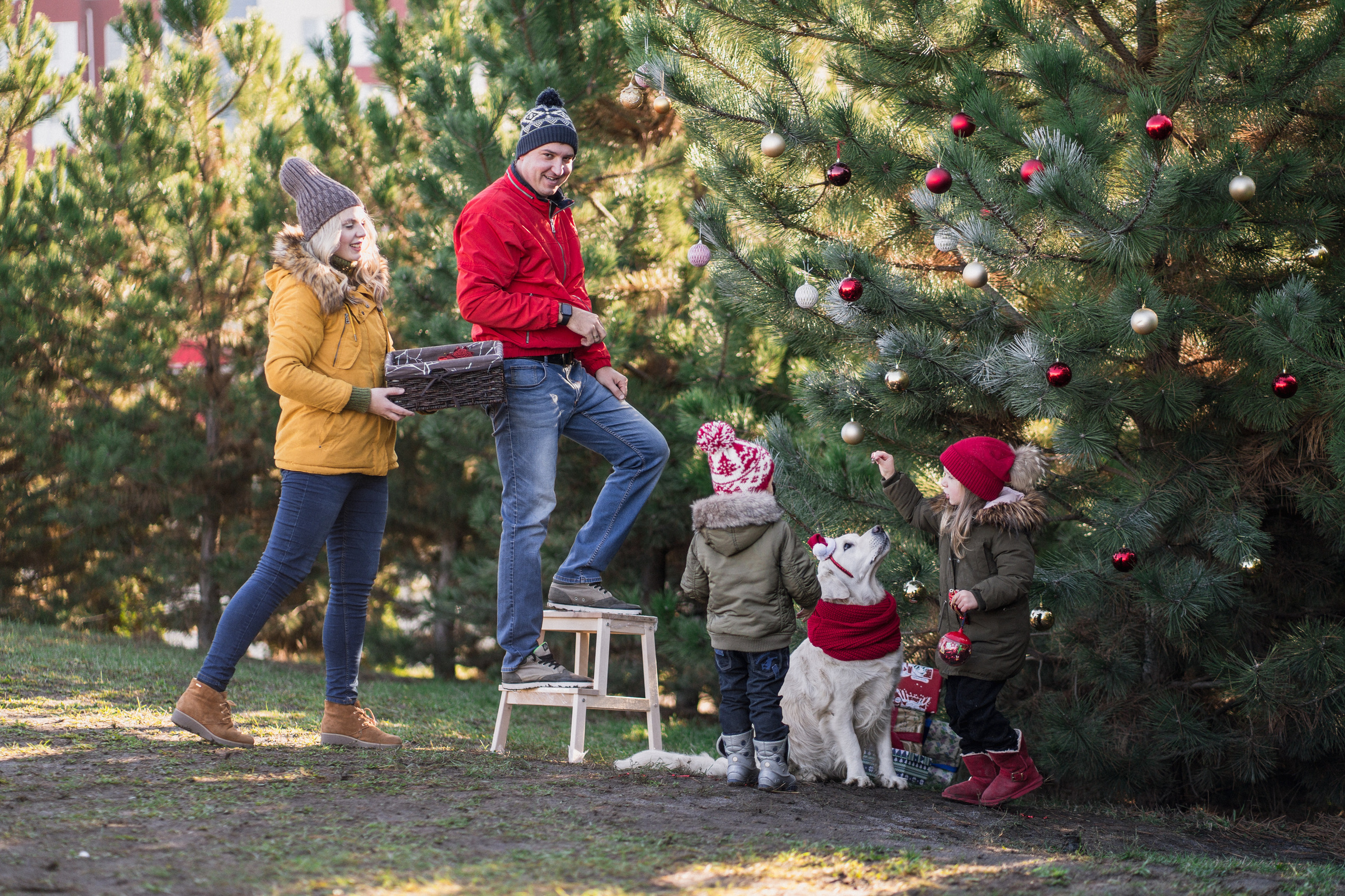 Зеленый Новый год. Семейный и детский фотограф в Краснодаре