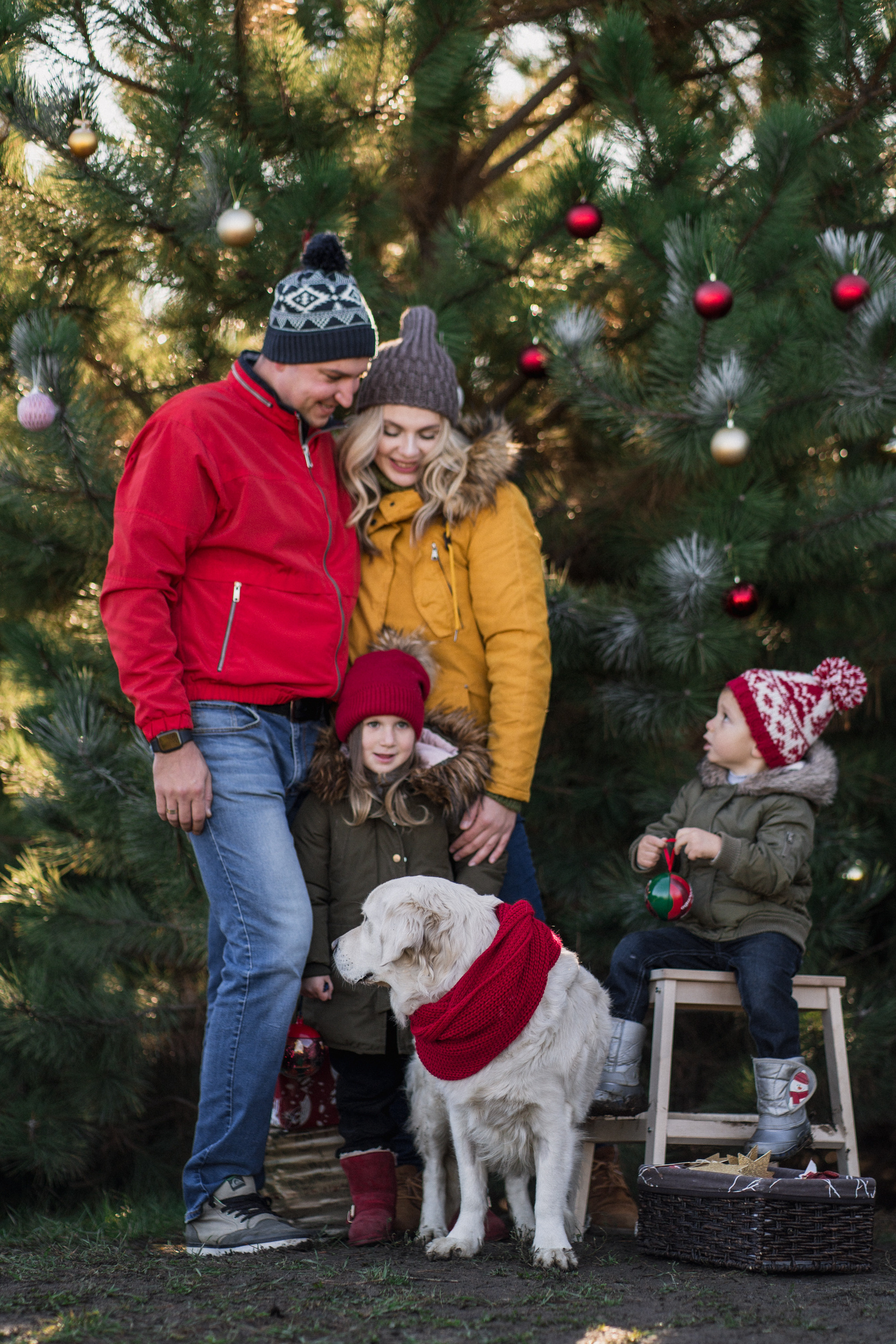 Зеленый Новый год. Семейный и детский фотограф в Краснодаре