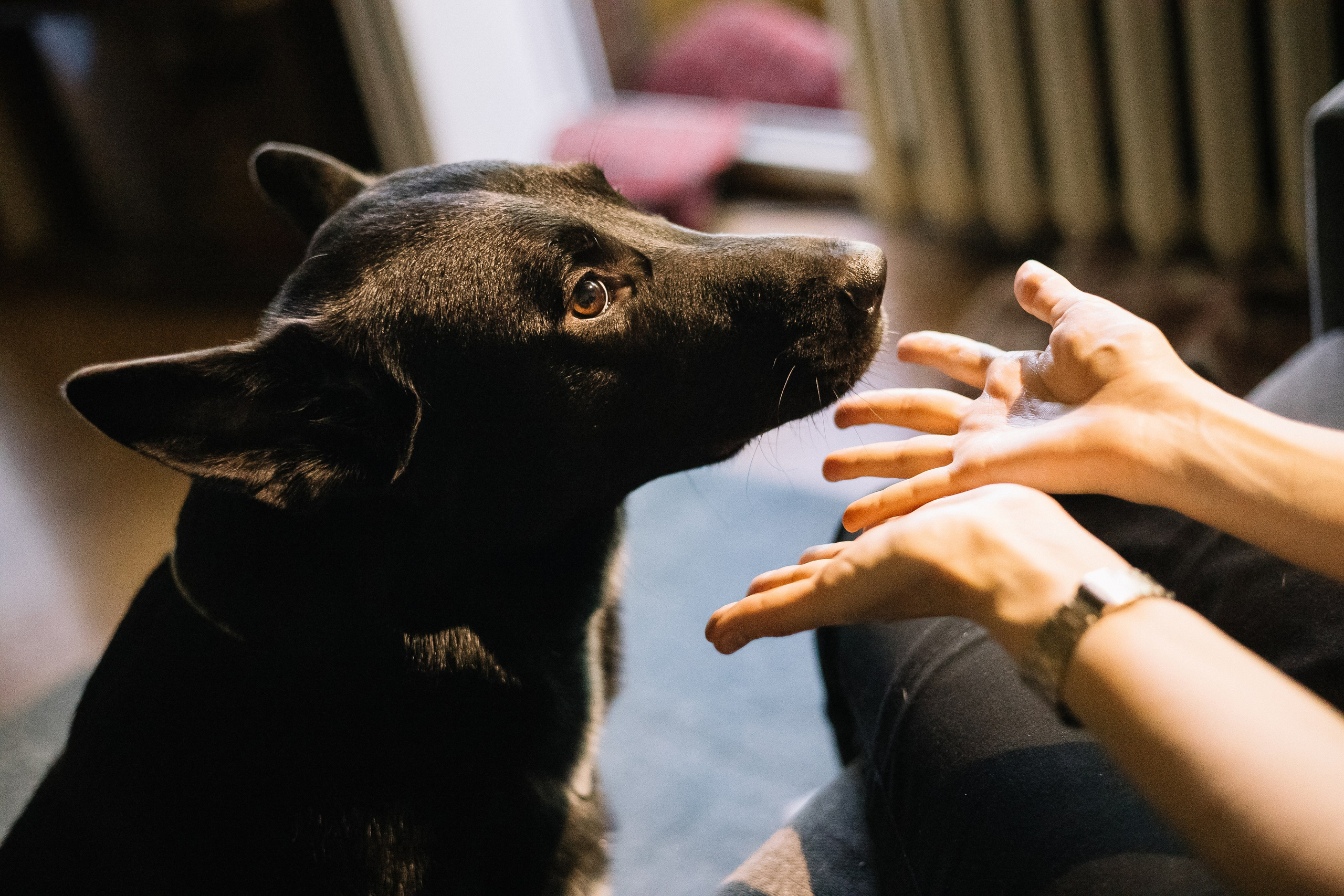 Ира и Морфей. Фотограф Анна Луценко Москва