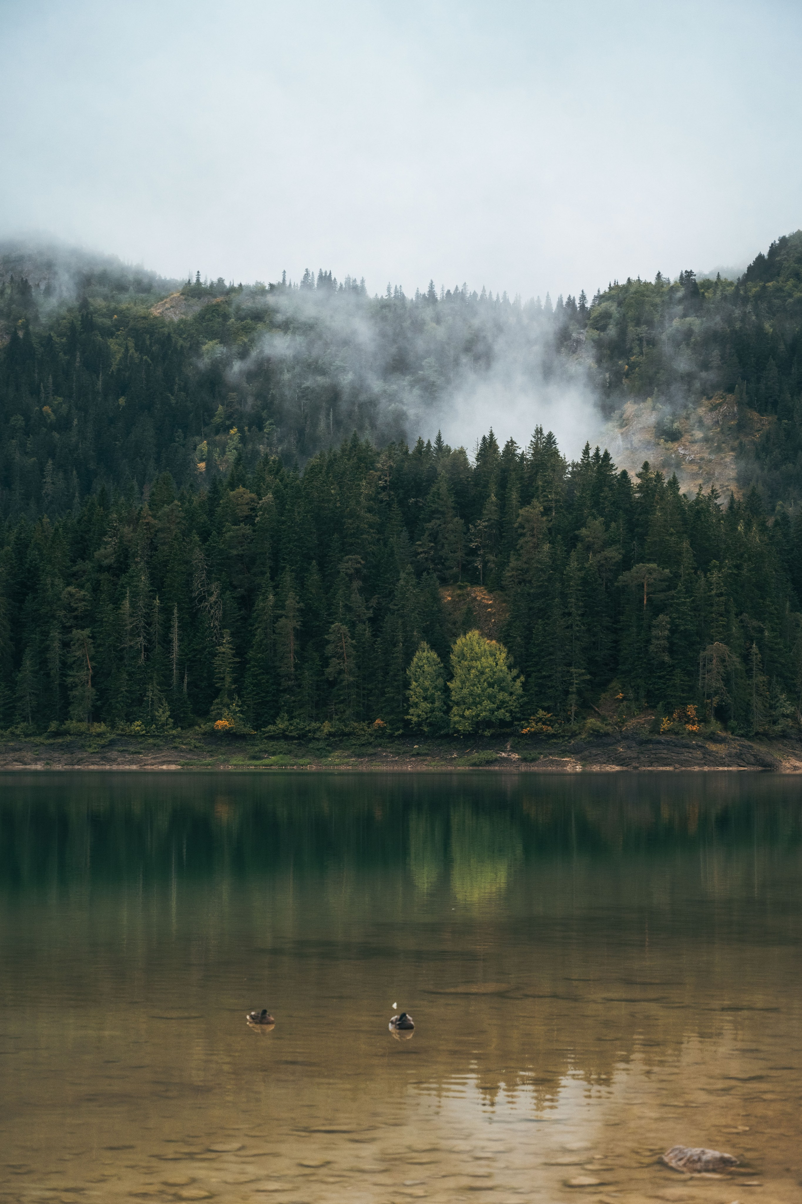 ДУРМИТОР. ЧЕРНОЕ ОЗЕРО. Фотограф в Белграде Чугреева Елена