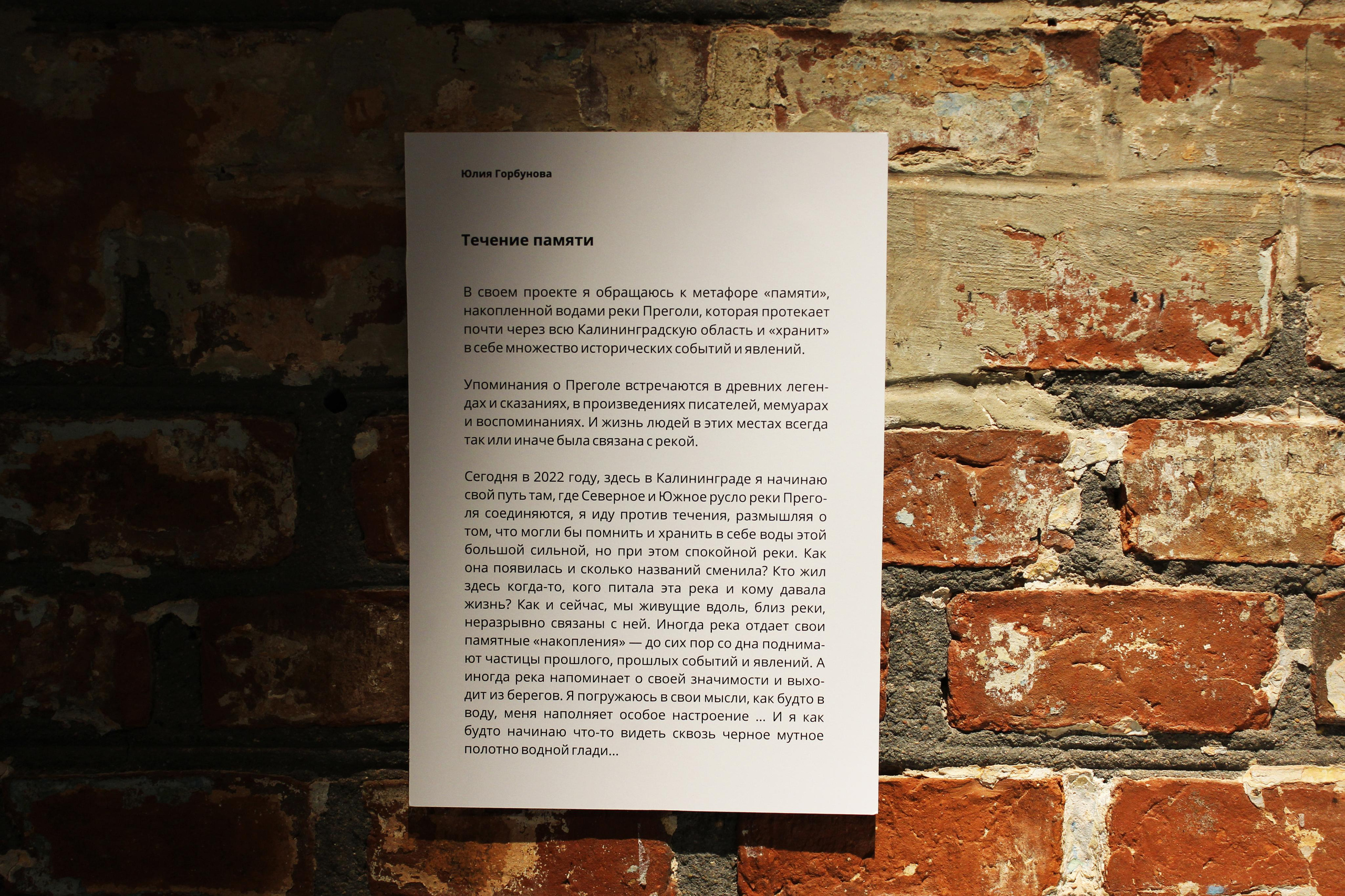 Выставка «Взгляд в прошлое». Julia Gorbunova