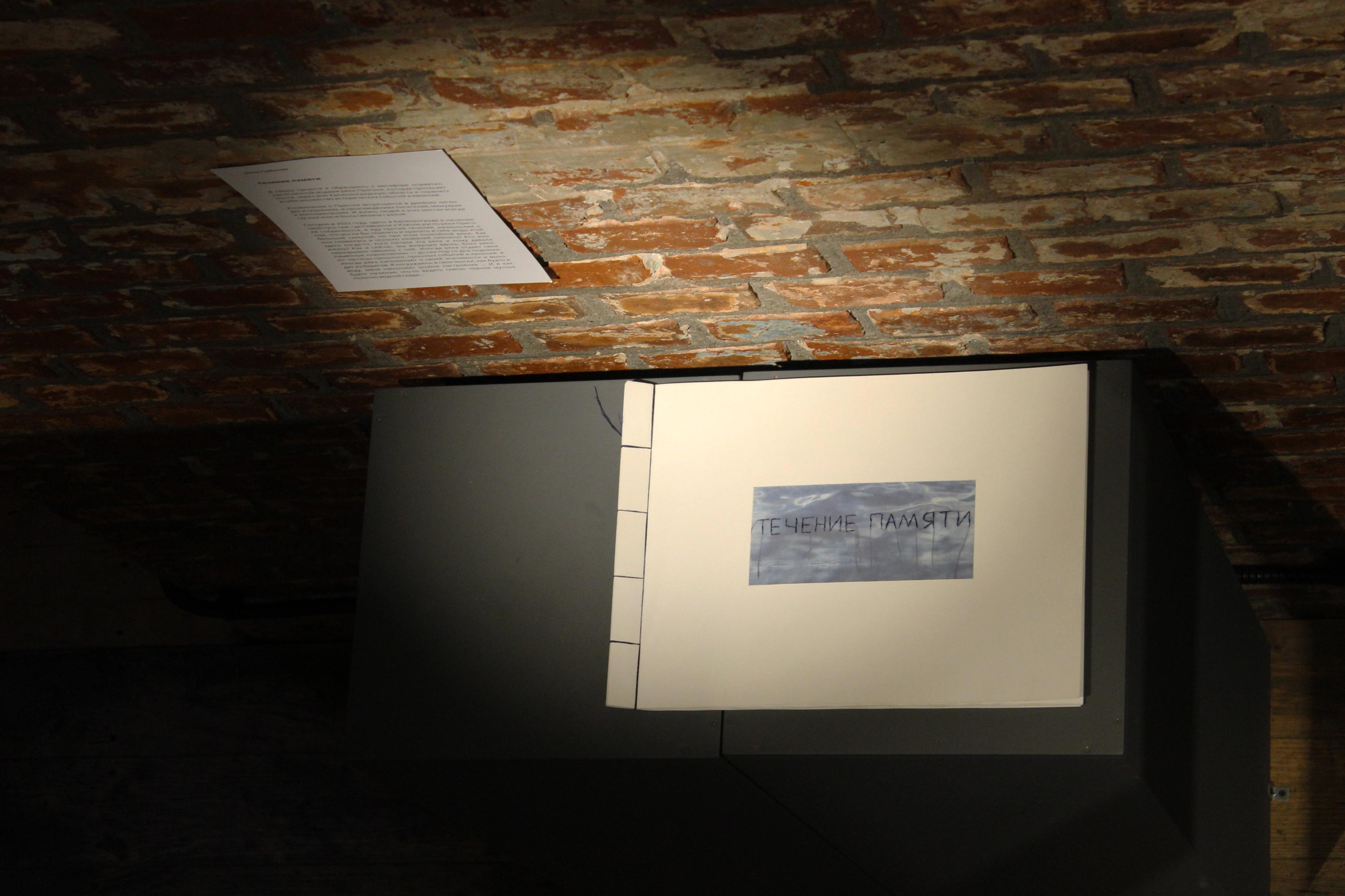 Выставка «Взгляд в прошлое». Julia Gorbunova