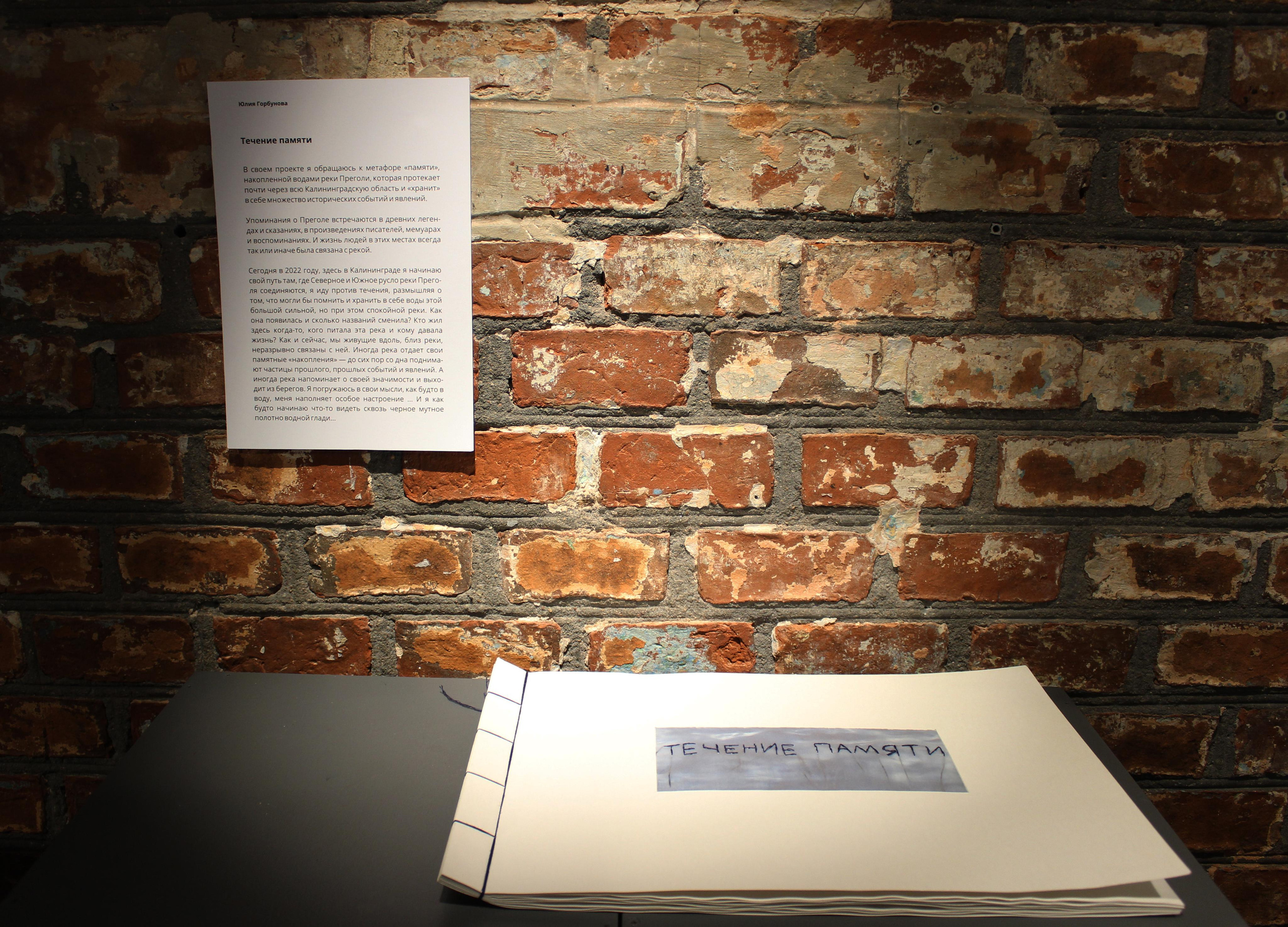 Выставка «Взгляд в прошлое». Julia Gorbunova