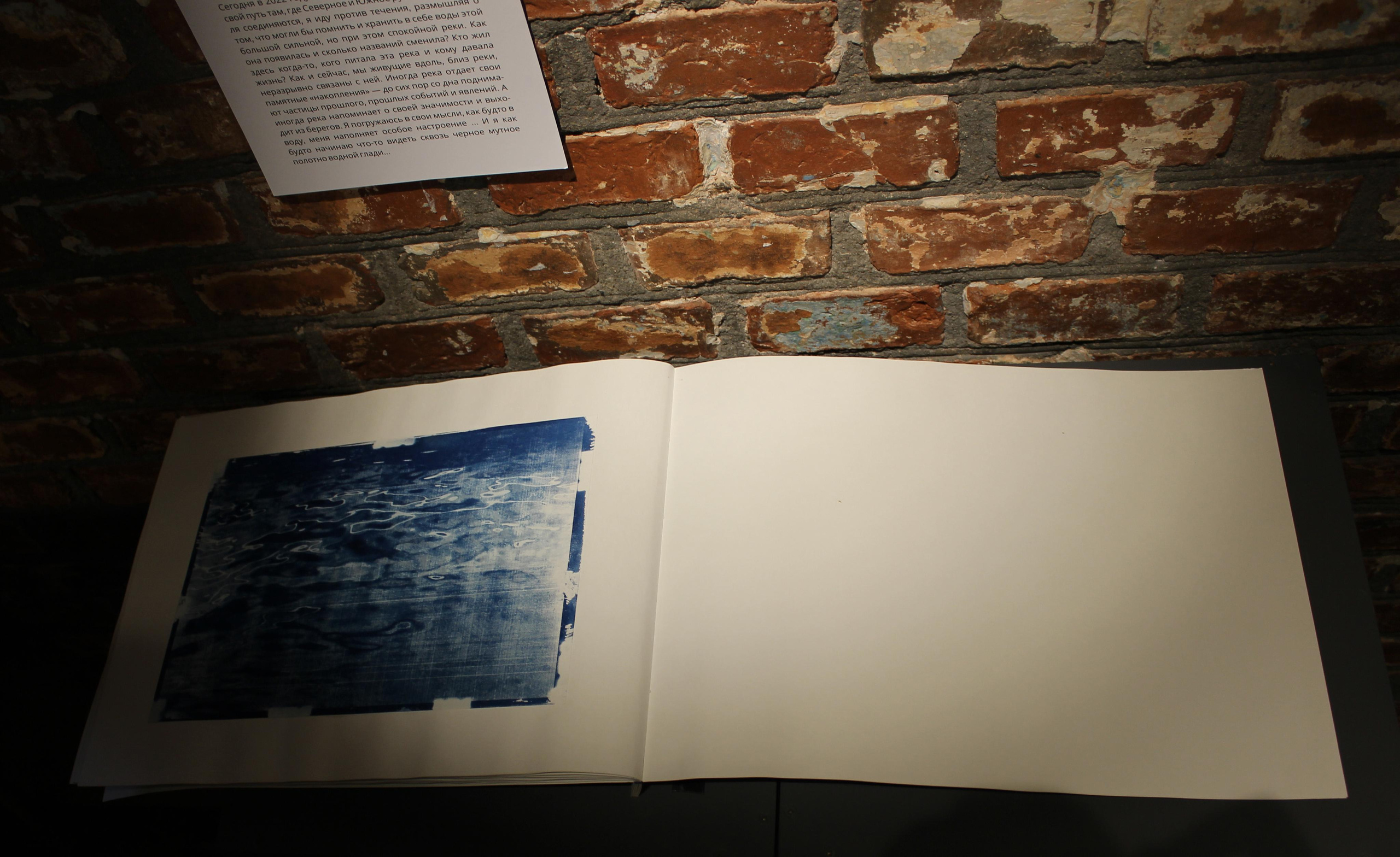 Выставка «Взгляд в прошлое». Julia Gorbunova