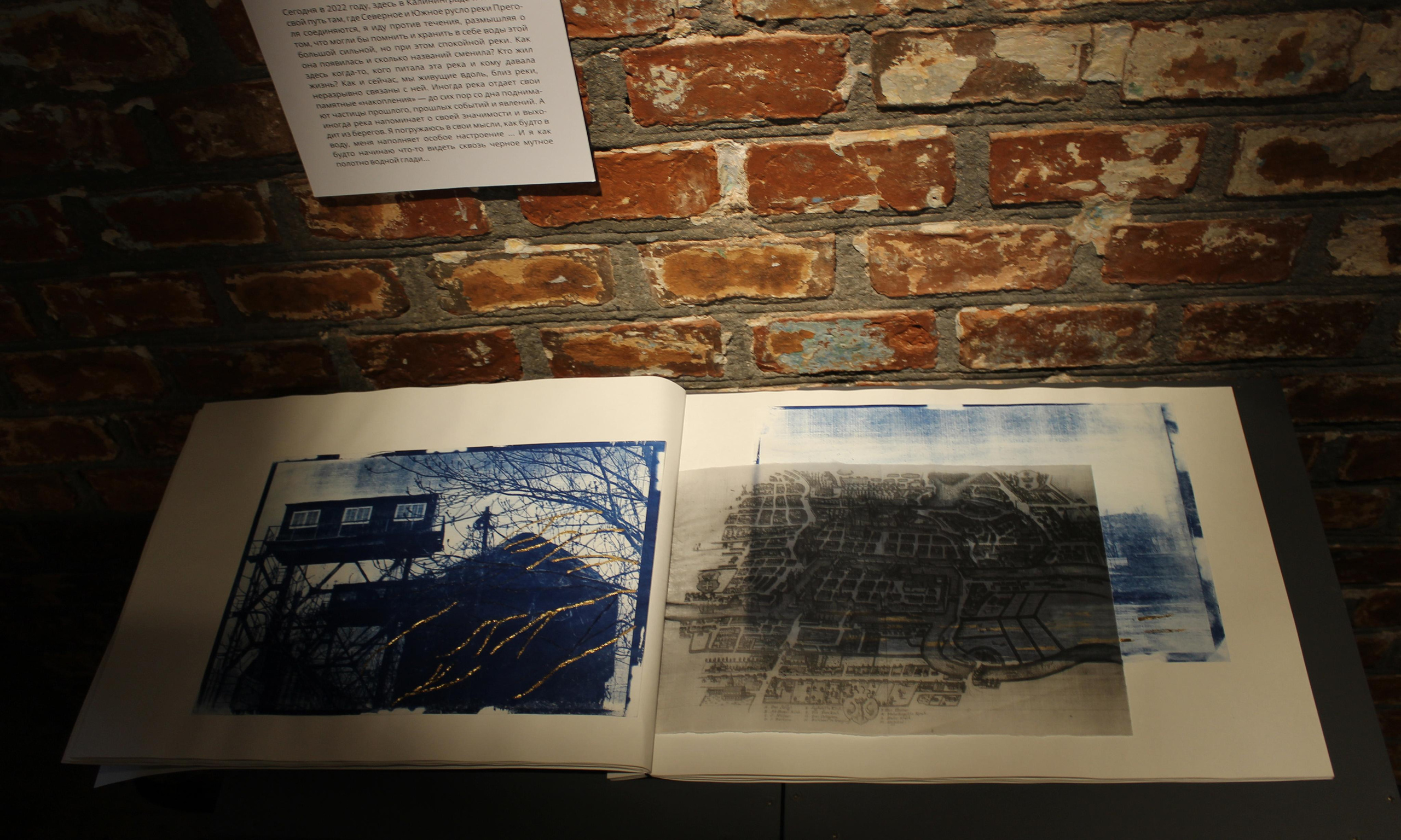 Выставка «Взгляд в прошлое». Julia Gorbunova