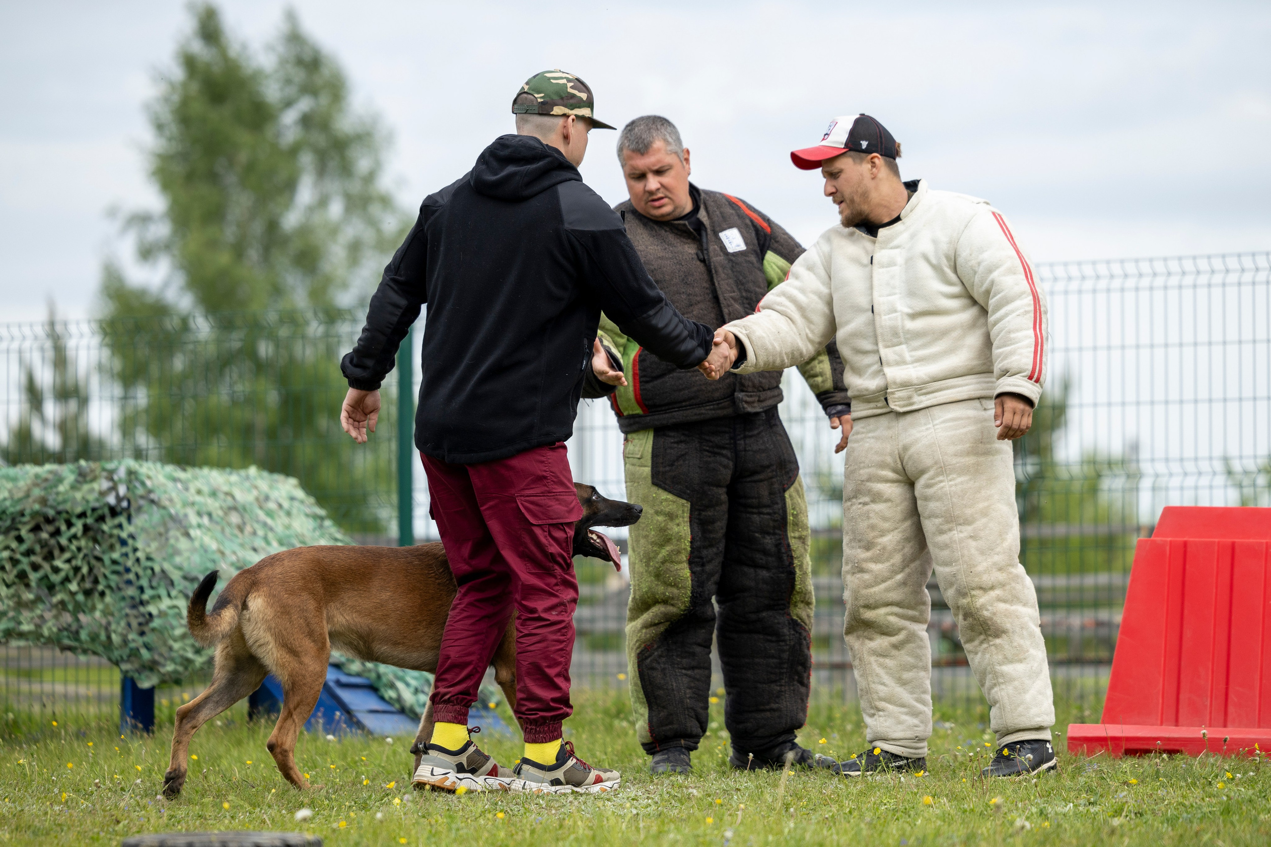 Испытания по мондьорингу в Нижнем Новгороде. Фотограф-анималист Анна Маринич