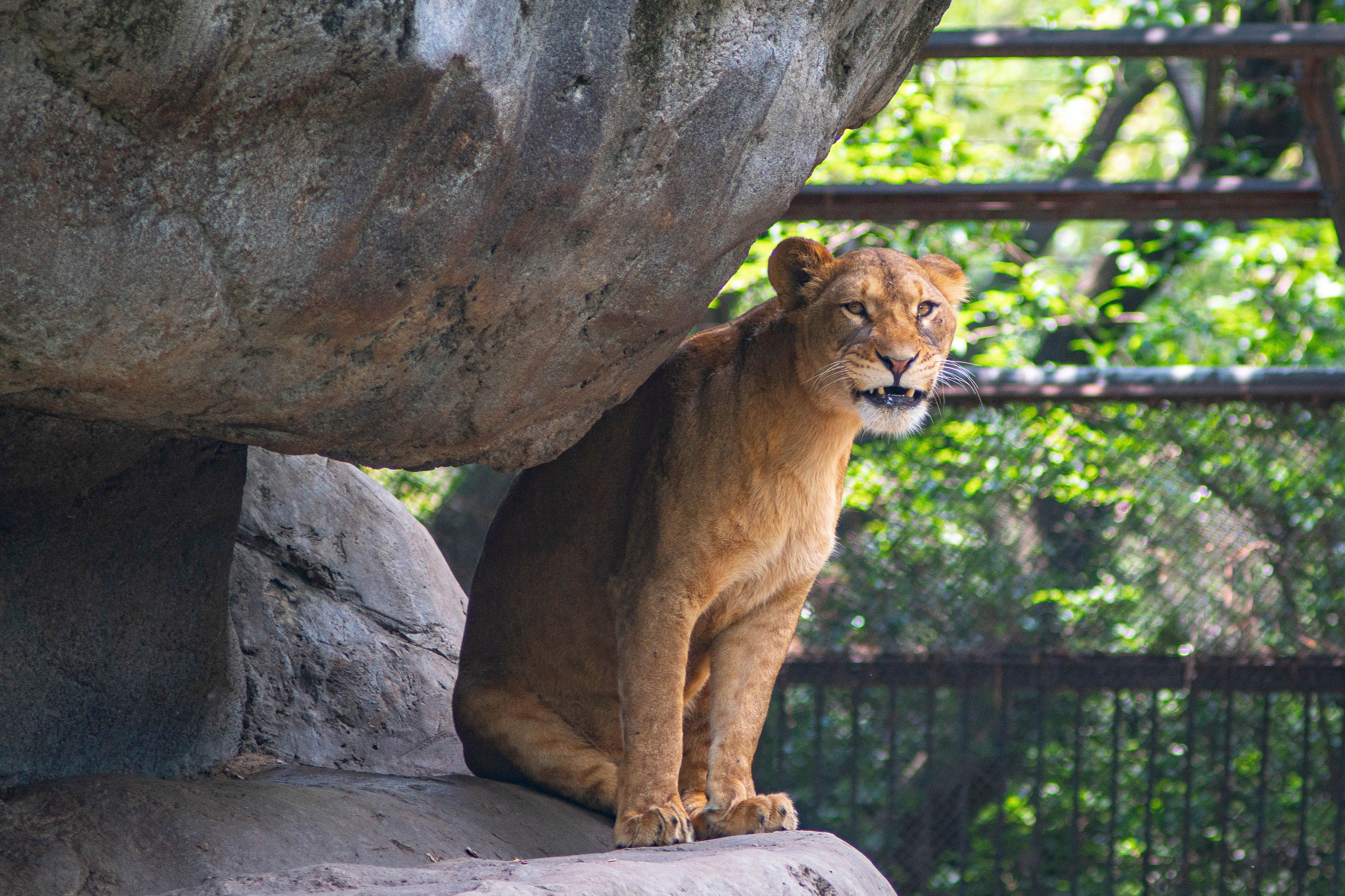 CDMX Photography | Alex Klenin| Portrait & Event Photographer
