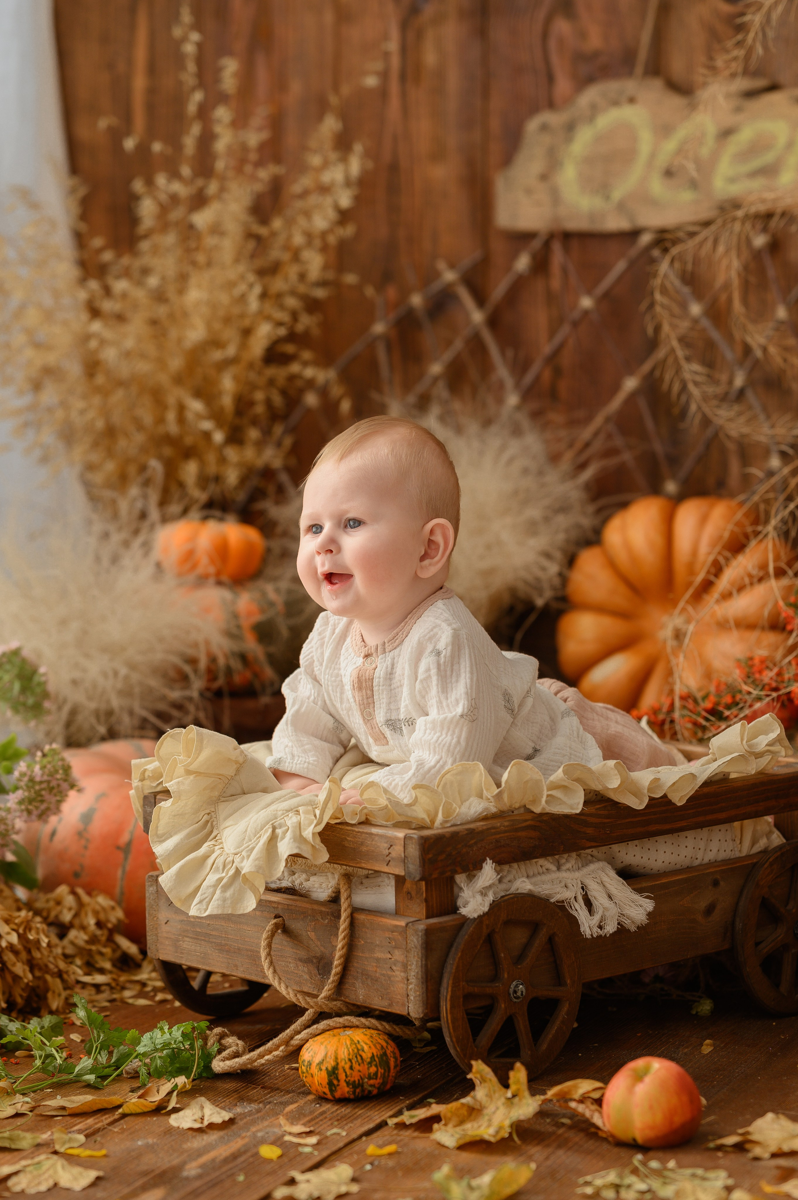 Дамирчик и кролик в тыквах. Детский и семейный фотограф Ирина Гладких
