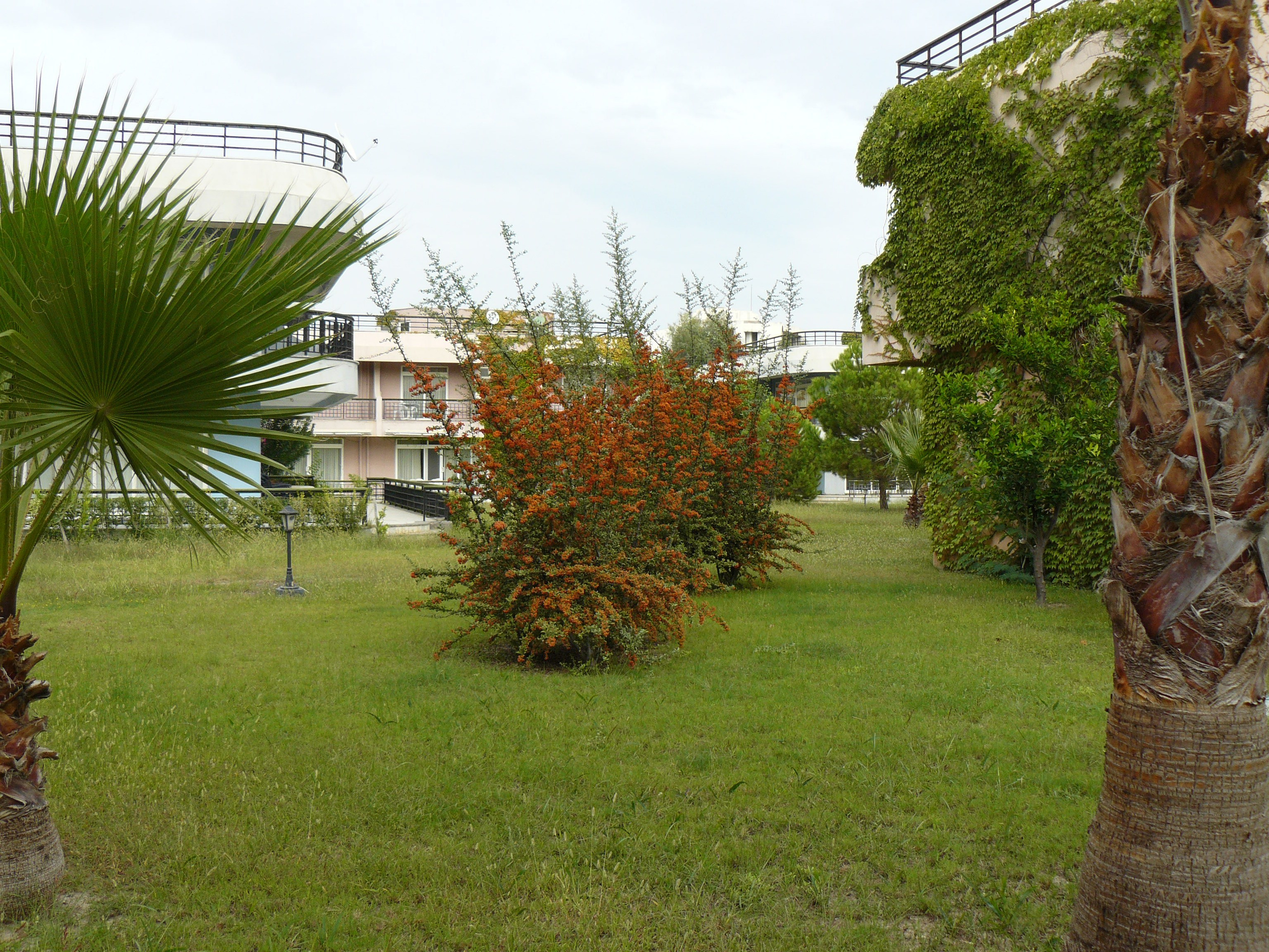 Кемер, Чамьюва 2008. Избранные фотографии