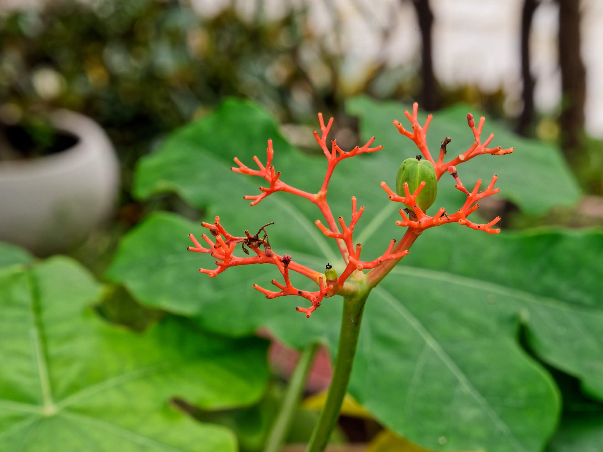 Нячанг 2023. Избранные фотографии