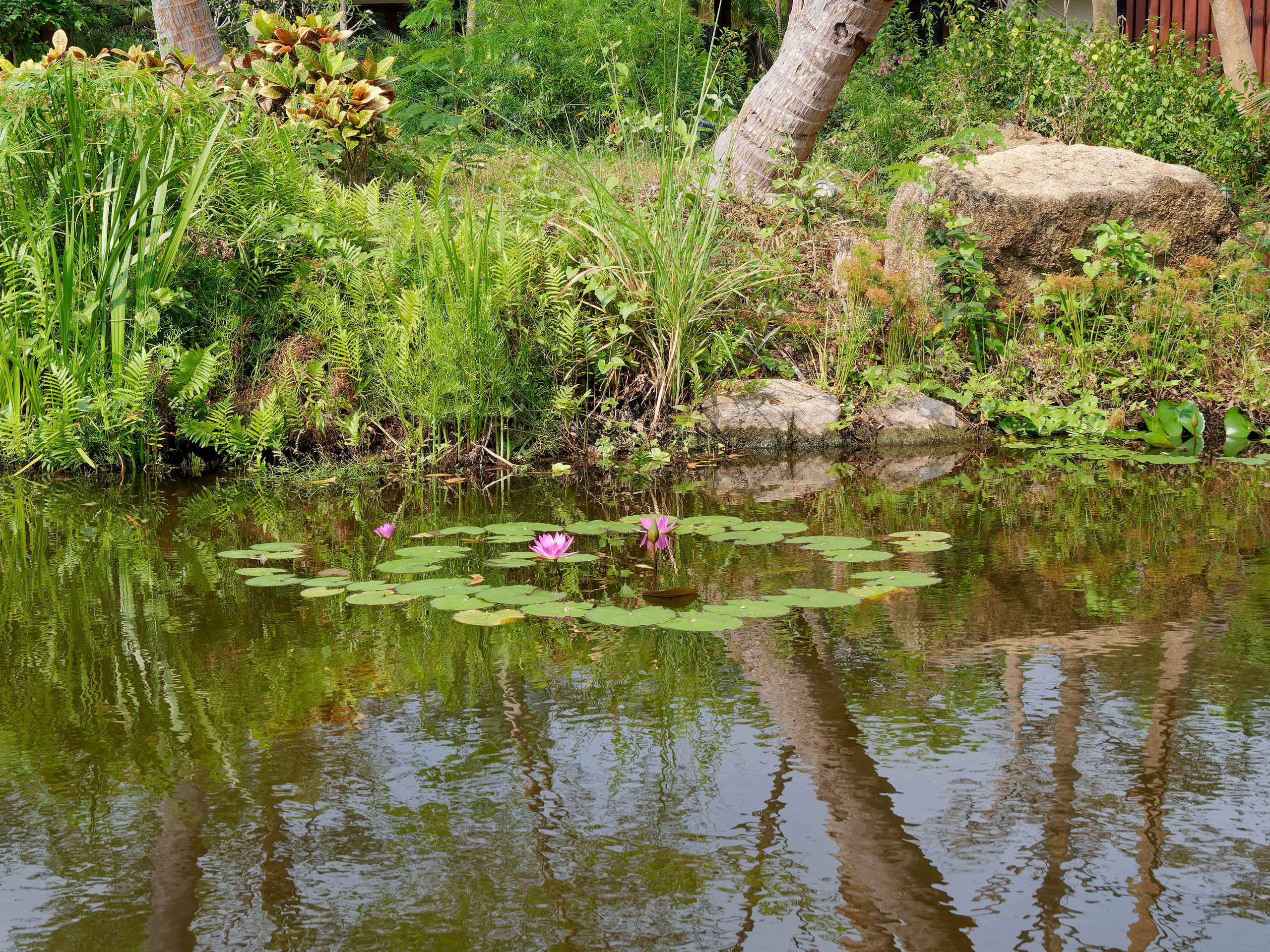 Хайнань 2026, отель «Stony Brook Villa Jianguo Resort Sanya 4*». Фотопрогулки по Миру