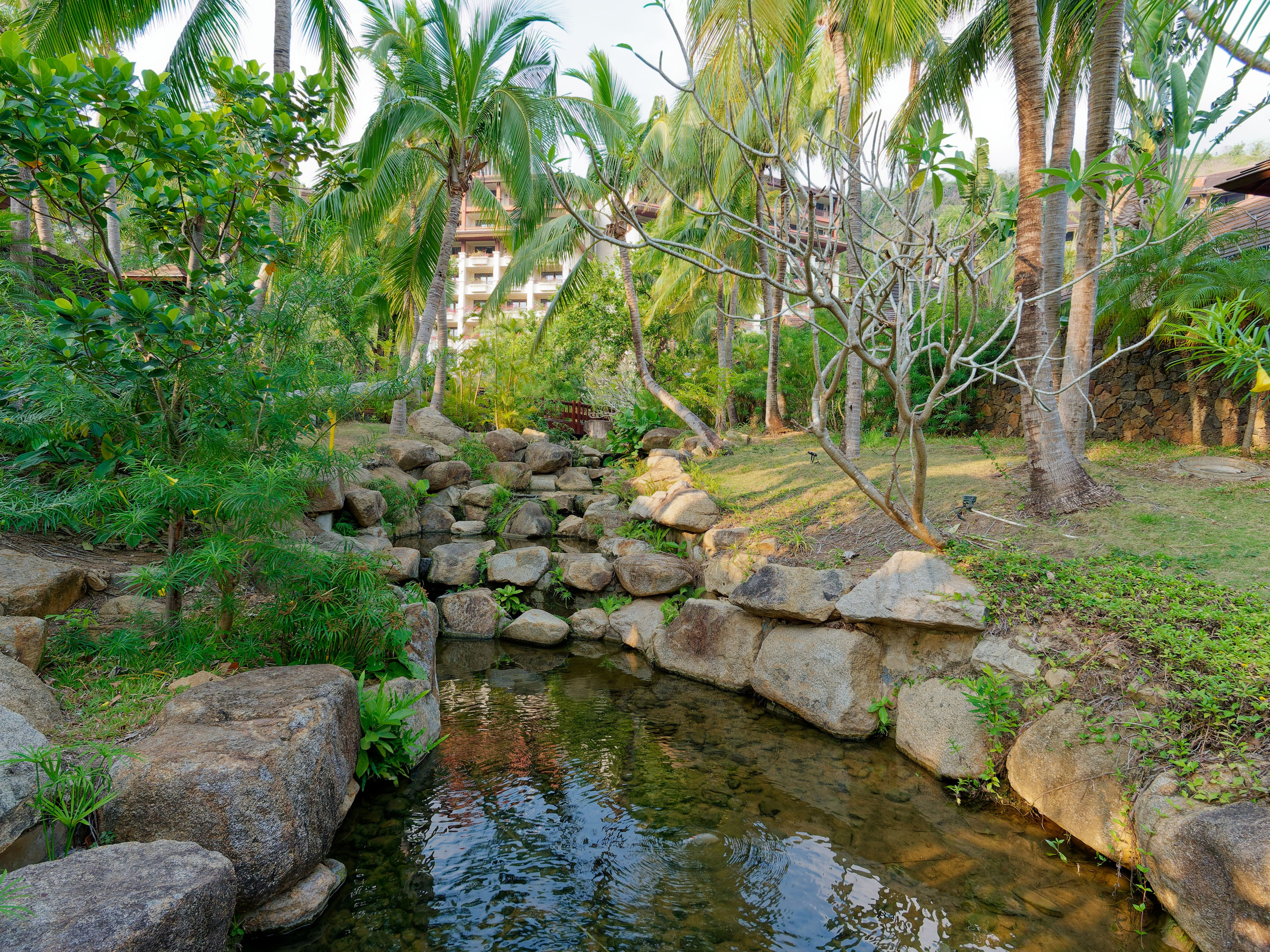 Хайнань 2026, отель «Stony Brook Villa Jianguo Resort Sanya 4*». Фотопрогулки по Миру