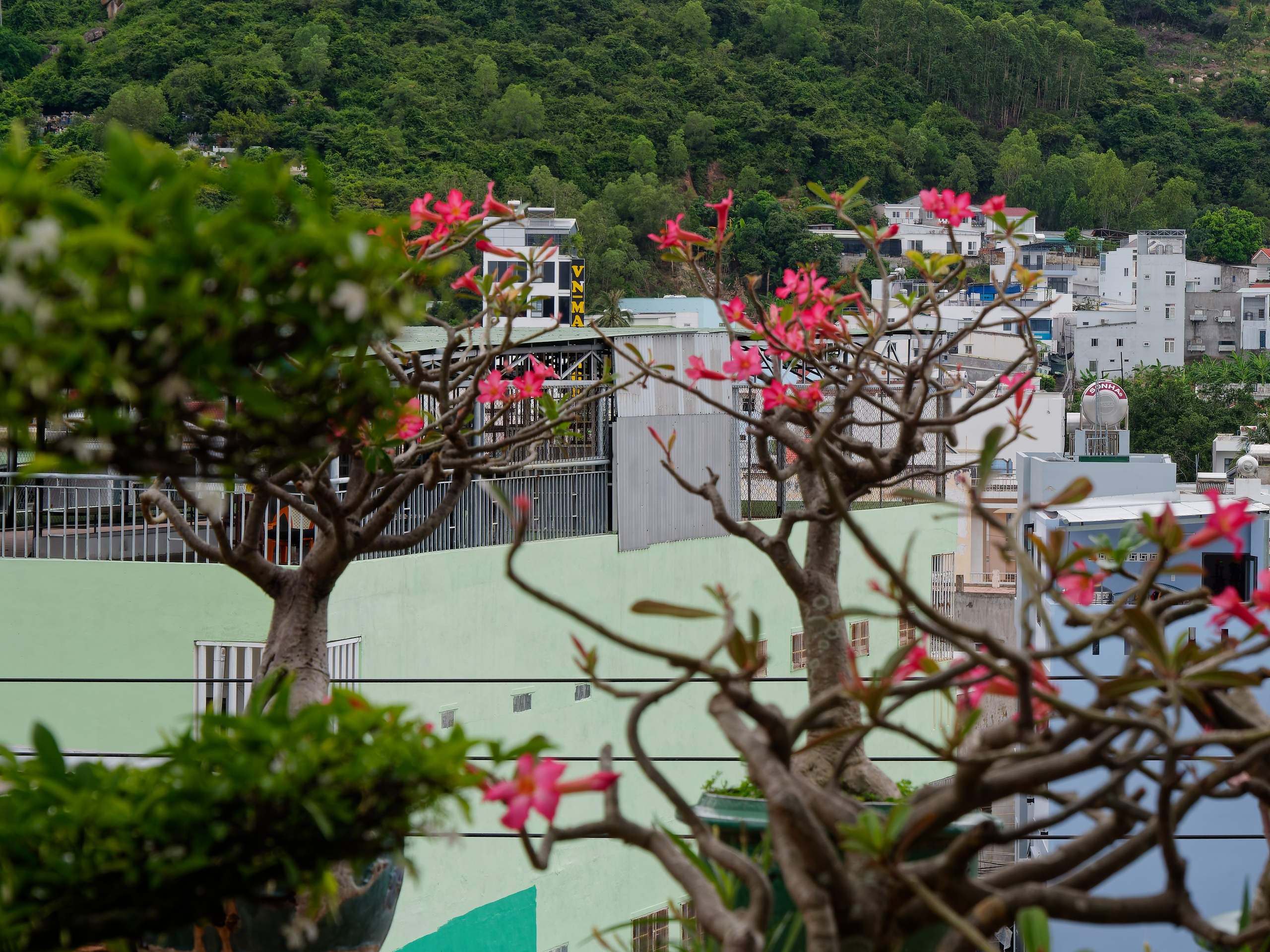 Нячанг 2025 (4). Избранные фотографии