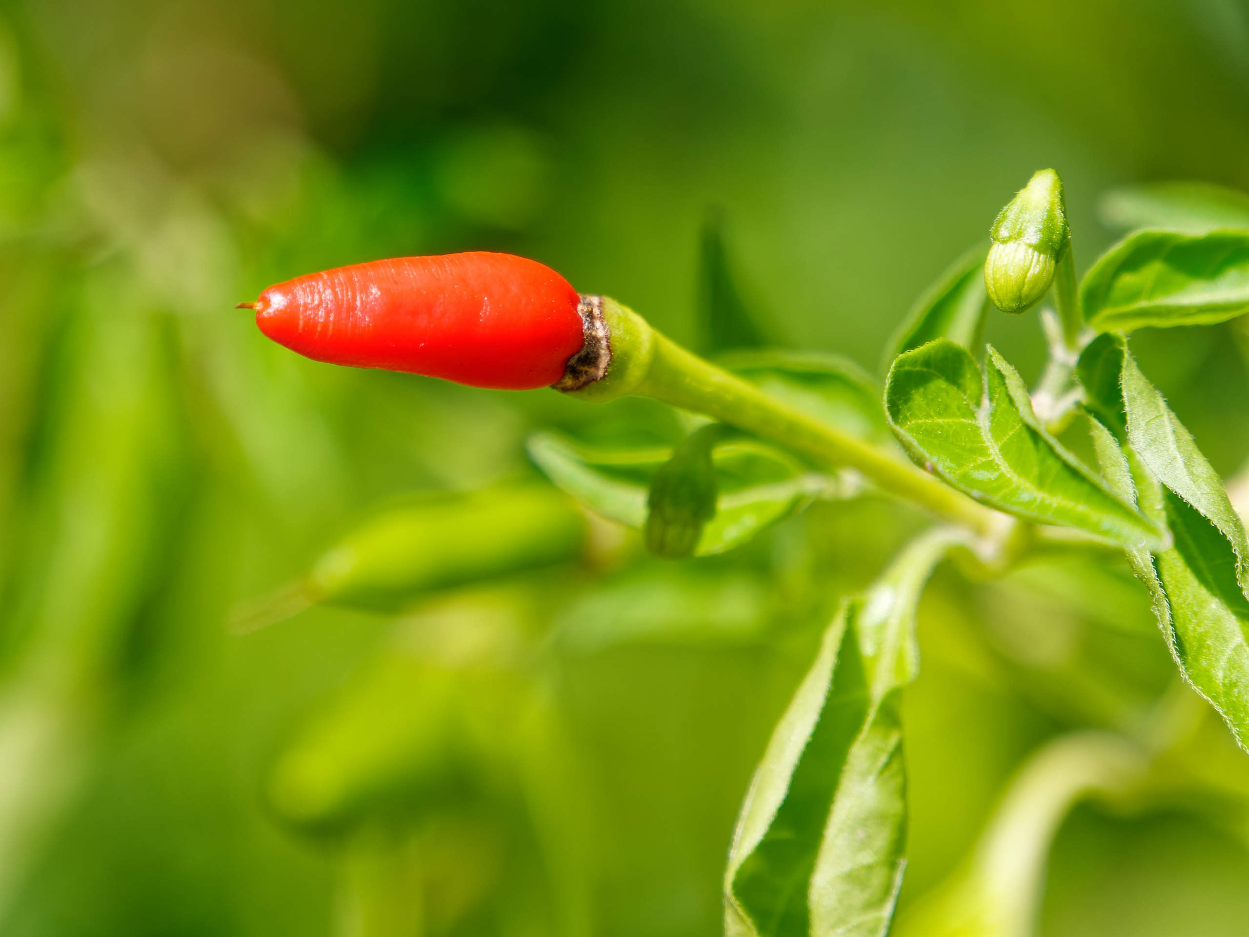 Нячанг 2023. Избранные фотографии