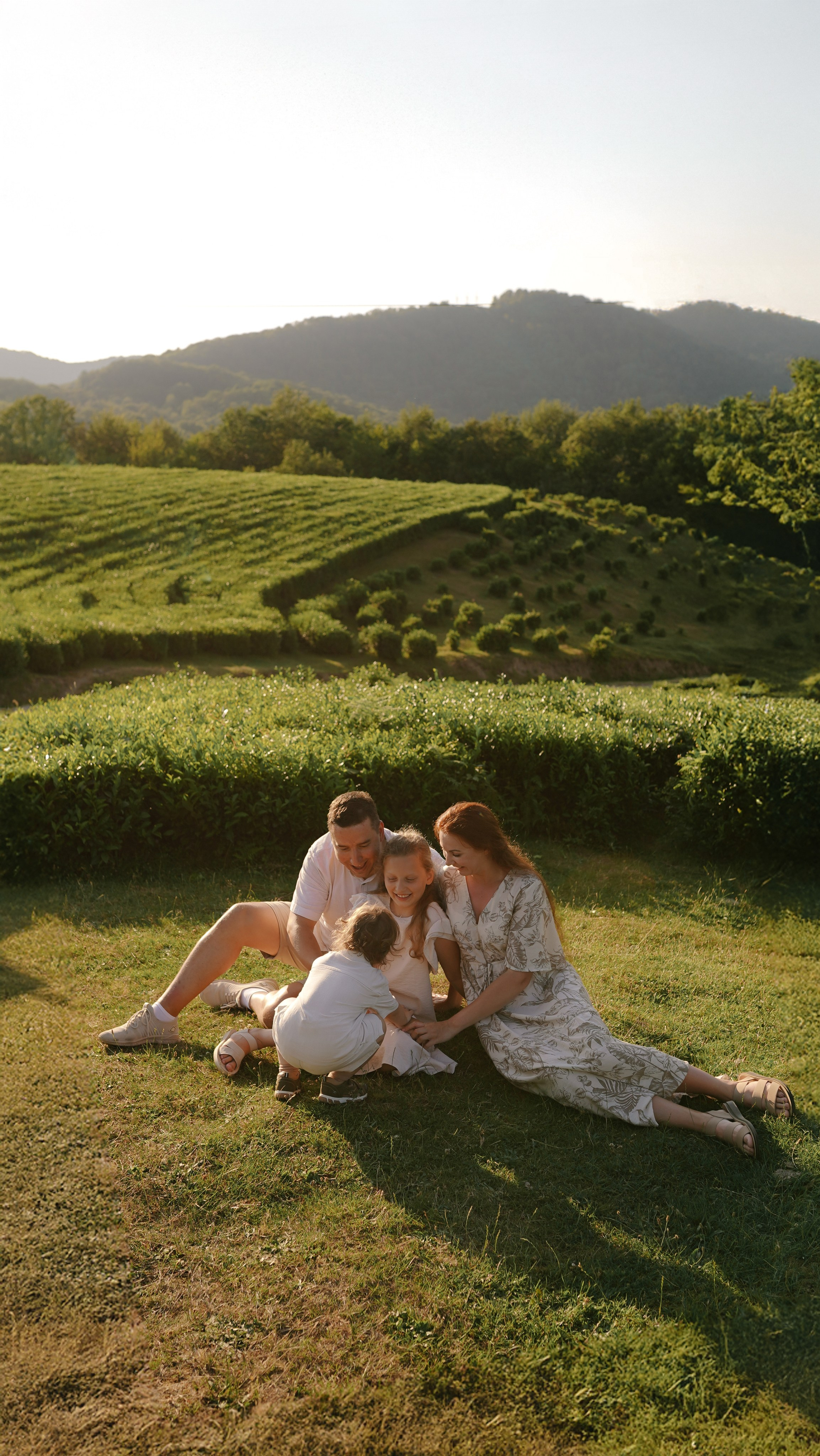 Чайные плантации. Милана Довгаль - семейный фотограф и видеограф  в Адлере и Сочи