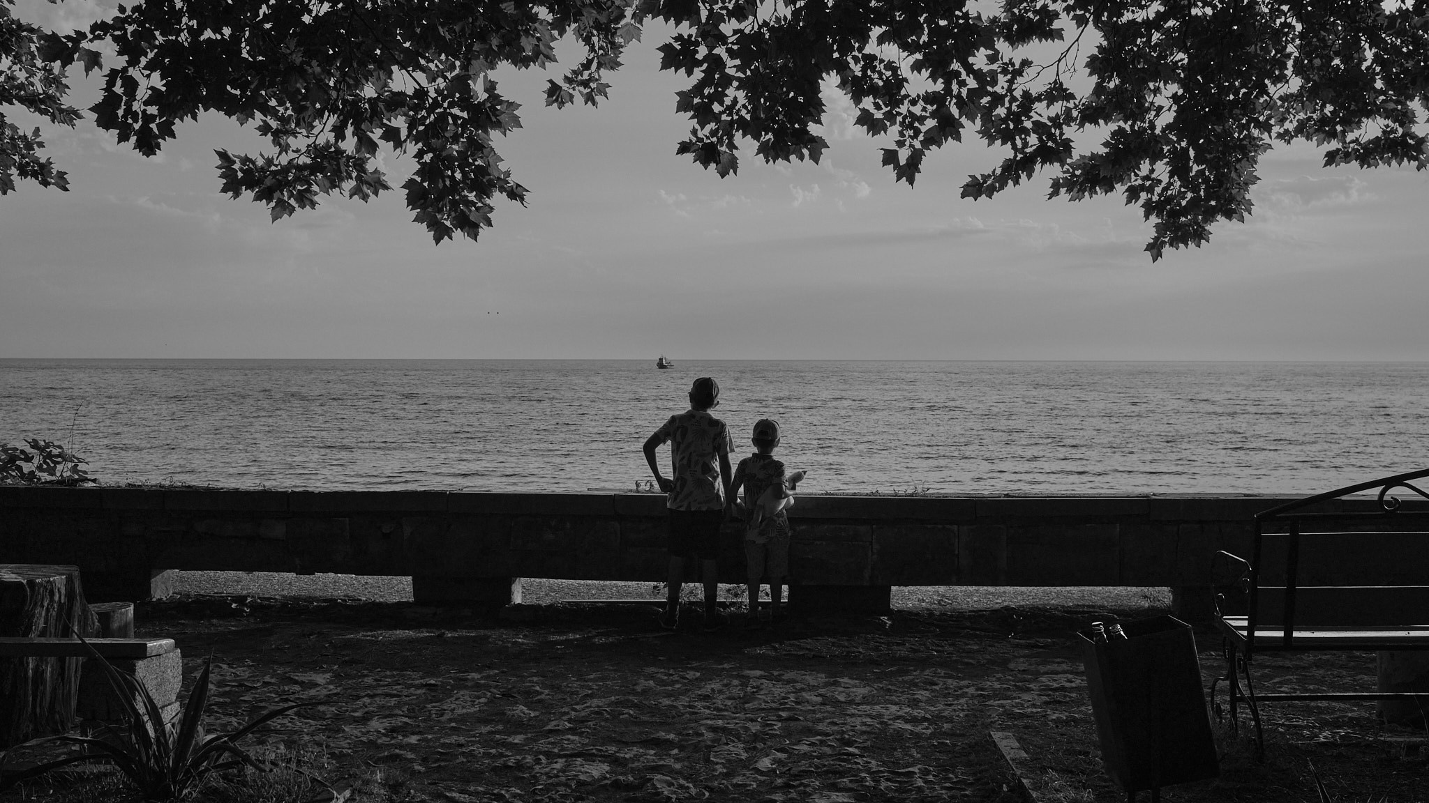 Фотограф Владимир Кононенко