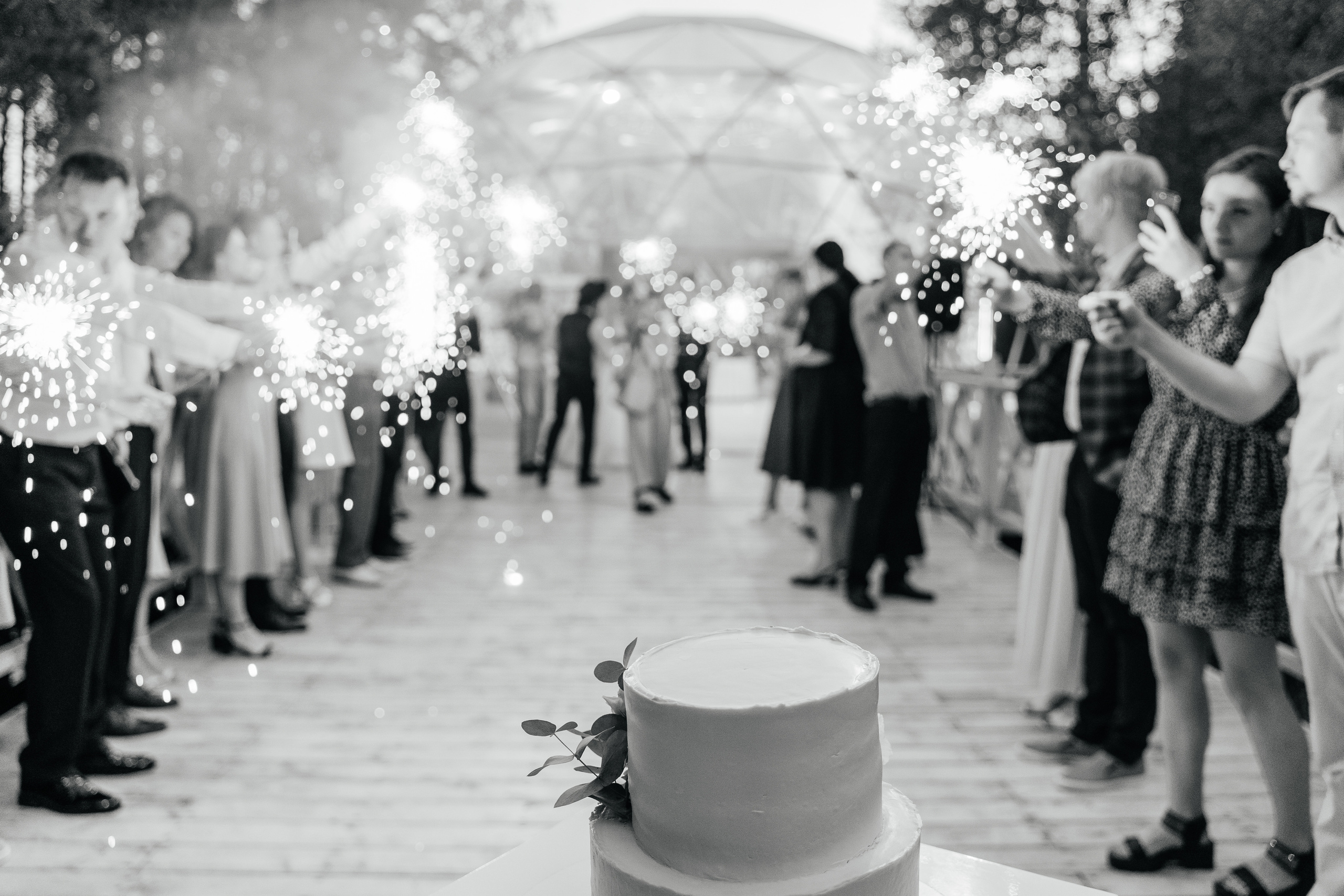 Анель и Александр и их свадебный день. Фотограф Аля Овчарова