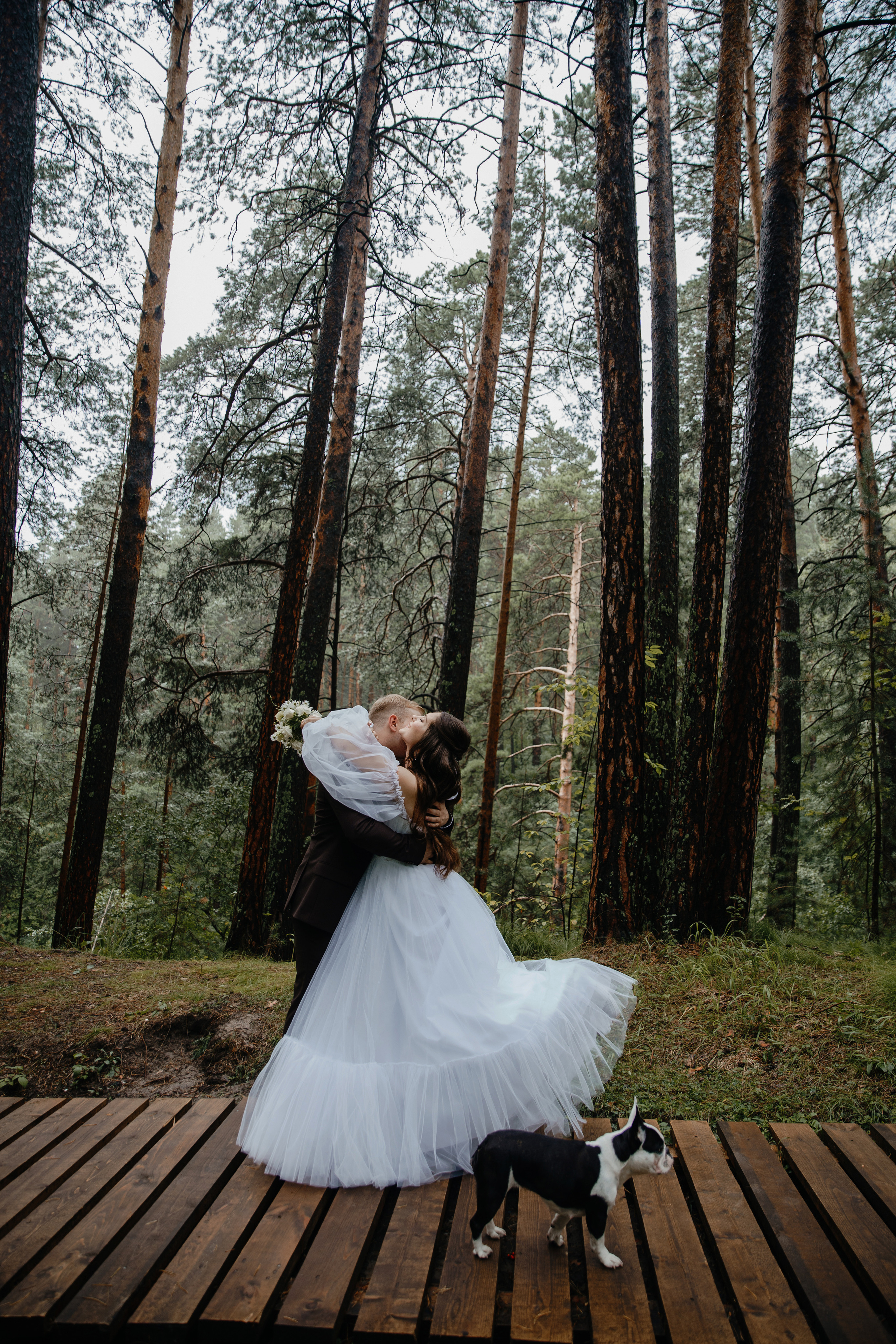 Свадьба Александра и Кристины. Фотограф Аля Овчарова