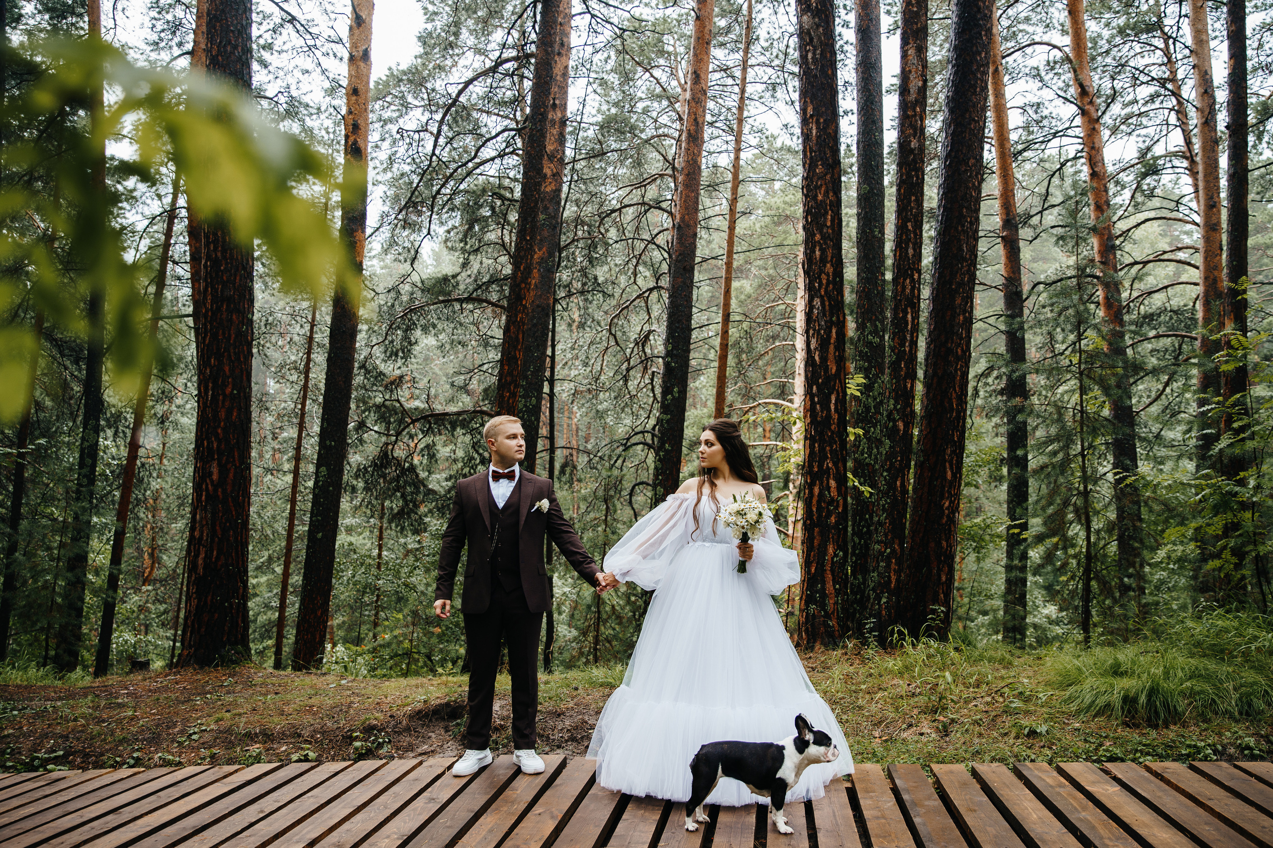 Свадьба Александра и Кристины. Фотограф Аля Овчарова